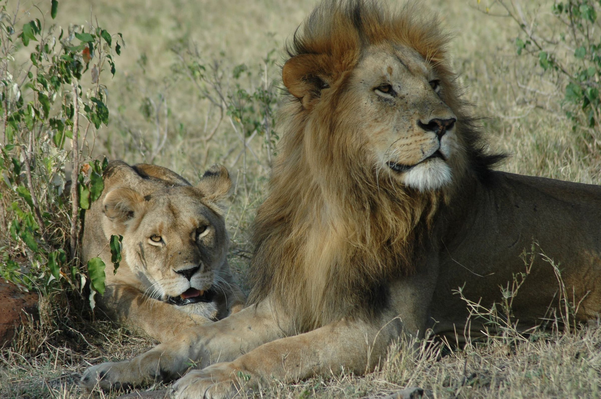J7 TOURS AND SAFARI 's image
