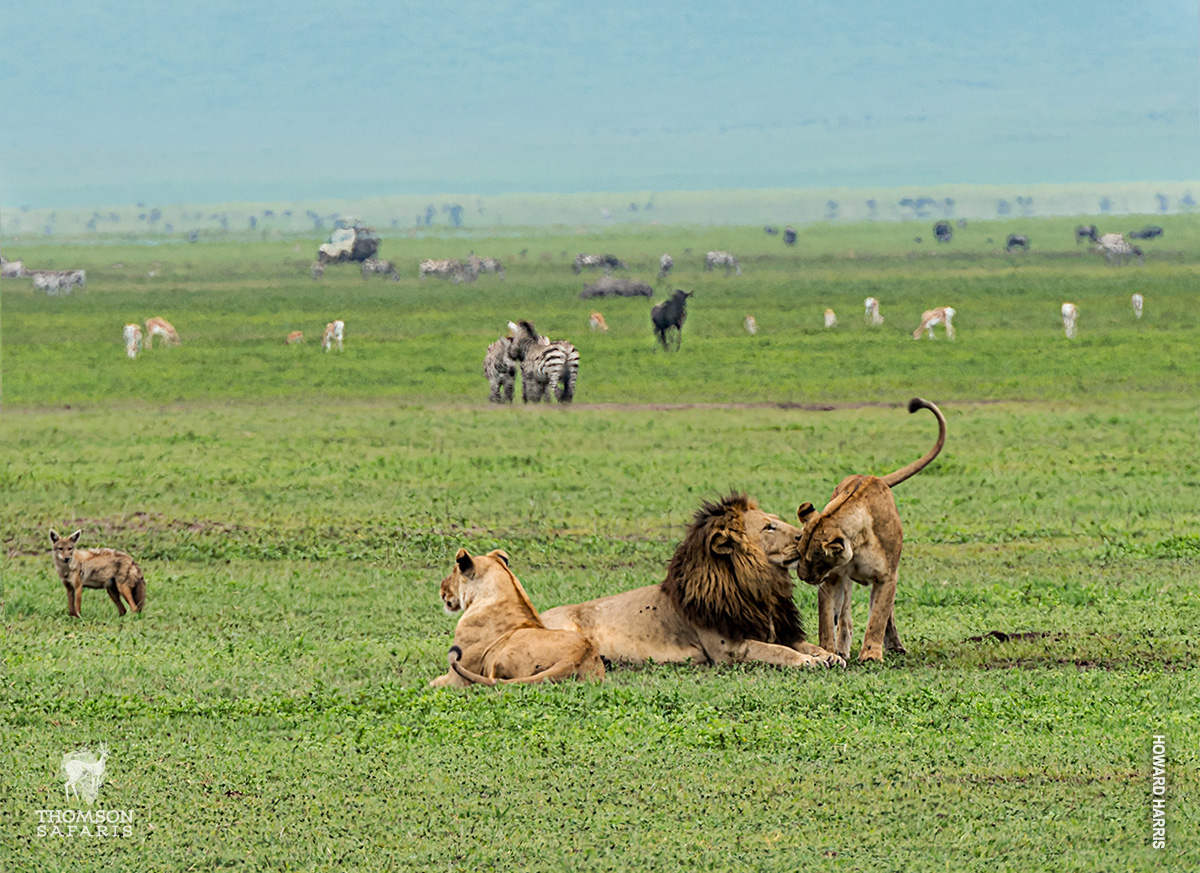 J7 TOURS AND SAFARI 's image