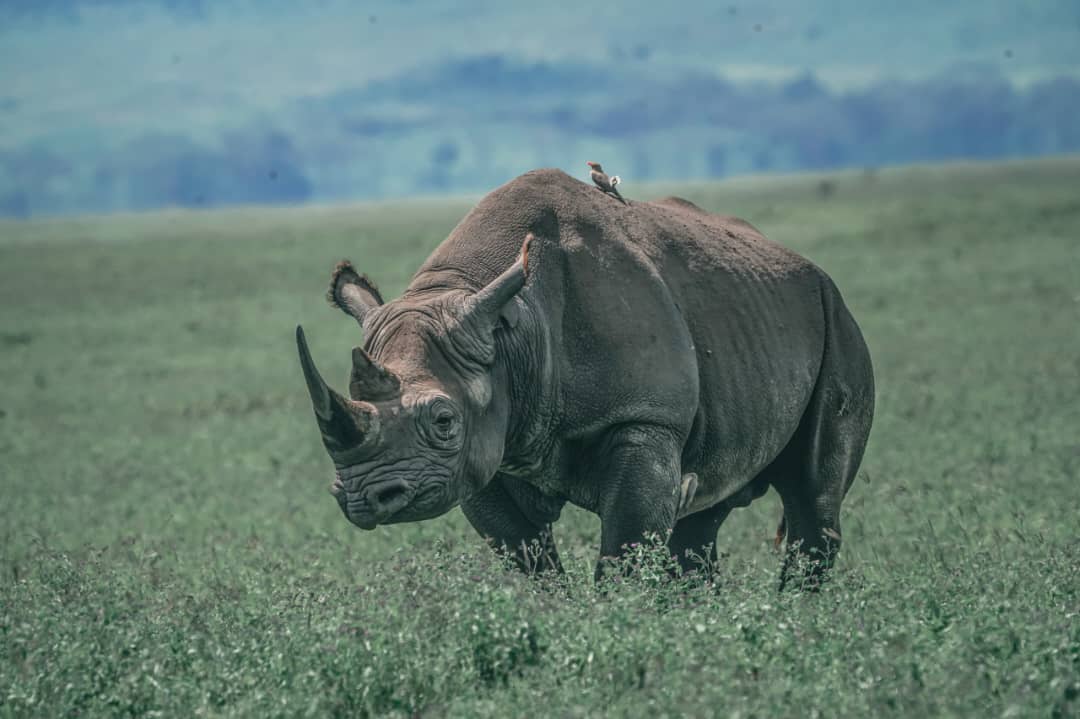 J7 TOURS AND SAFARI 's image