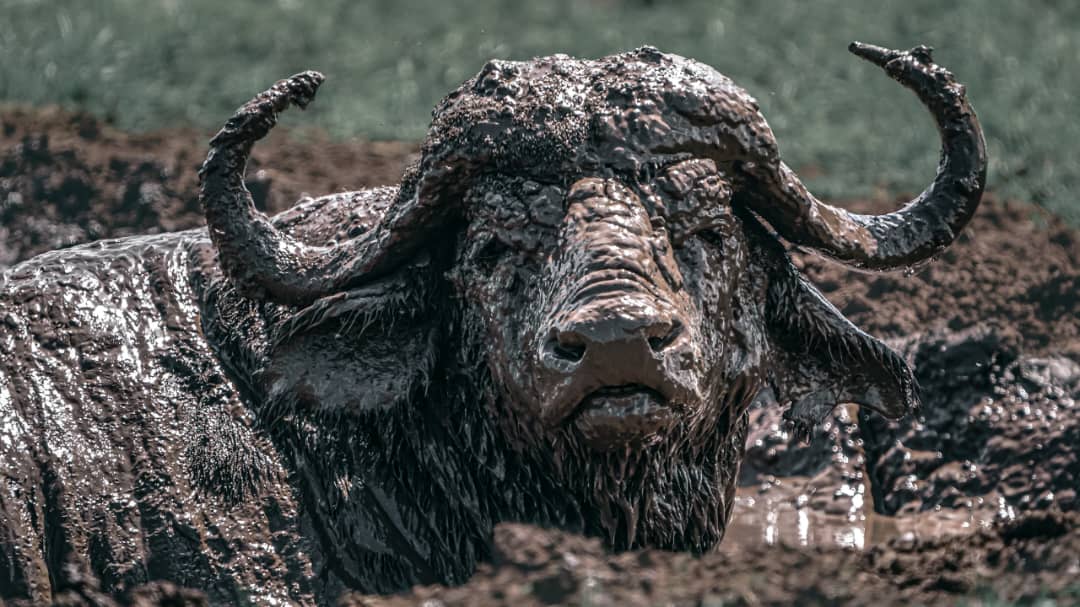 J7 TOURS AND SAFARI 's image