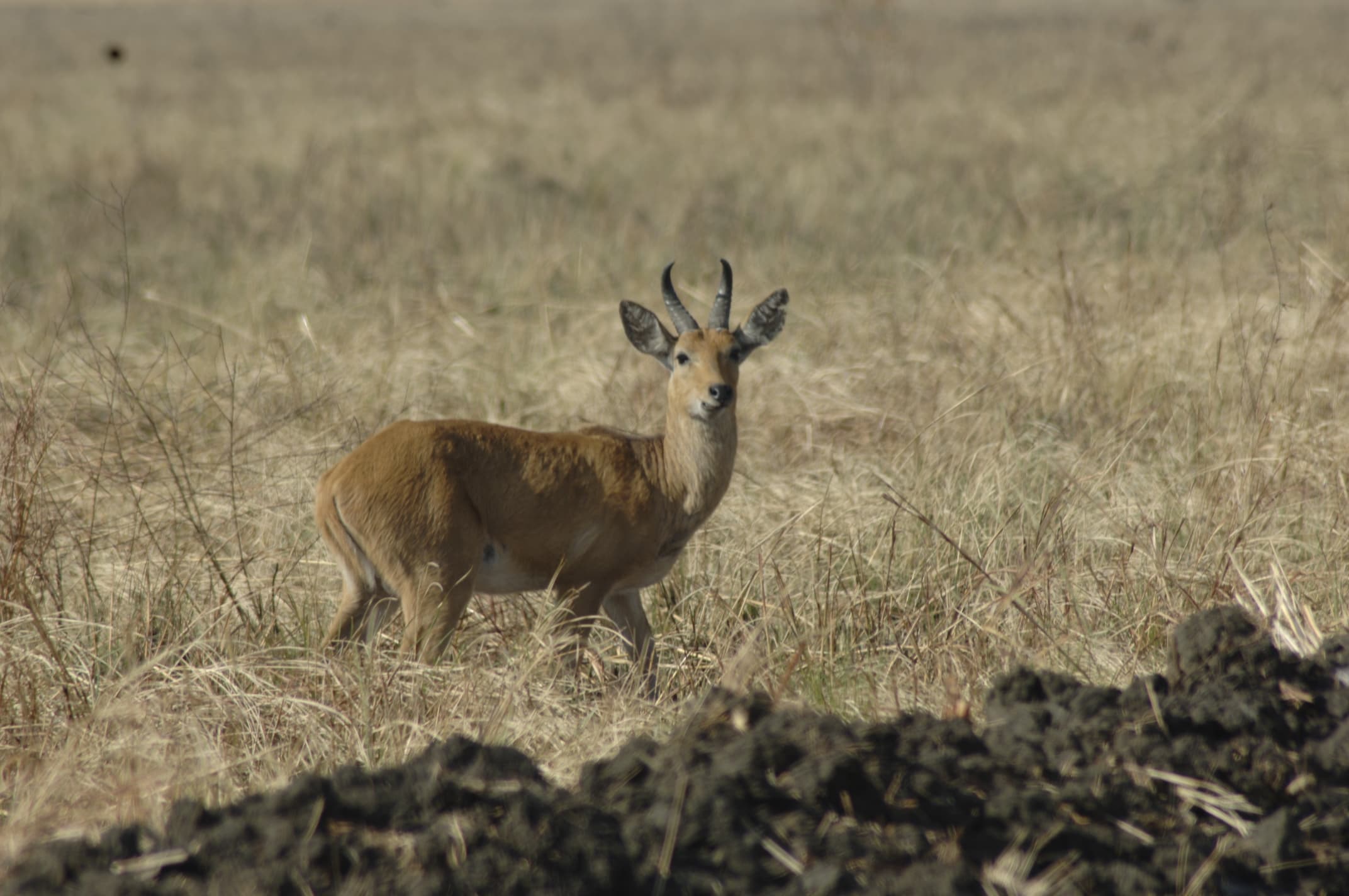 J7 TOURS AND SAFARI 's image