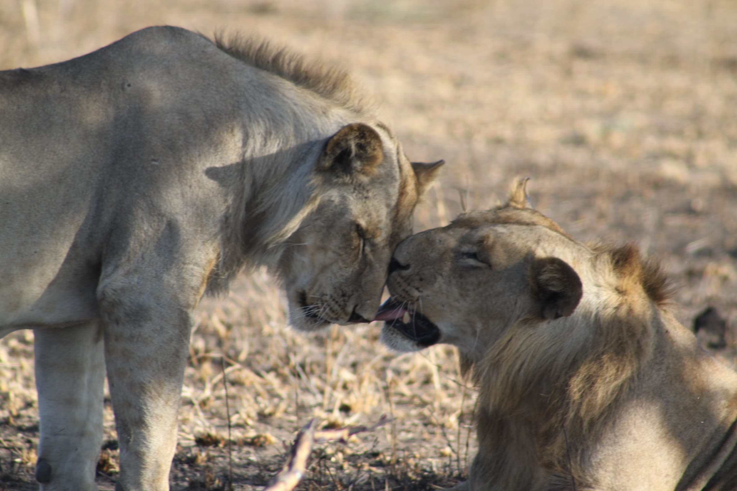 J7 TOURS AND SAFARI 's image