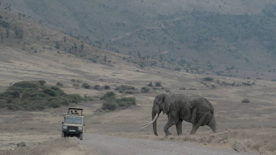 J7 TOURS AND SAFARI 's image
