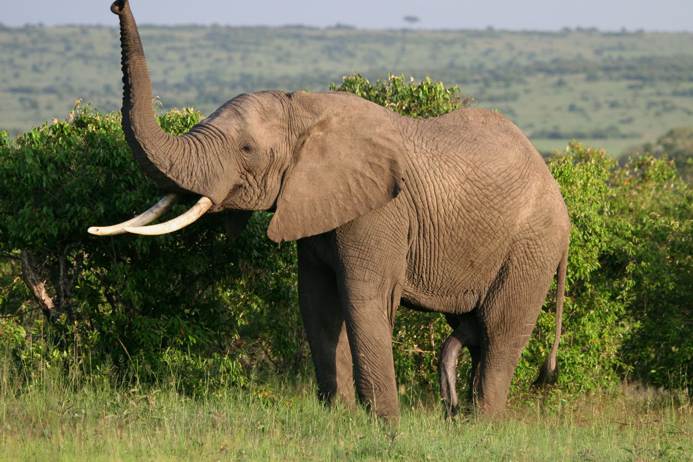 J7 TOURS AND SAFARI 's image