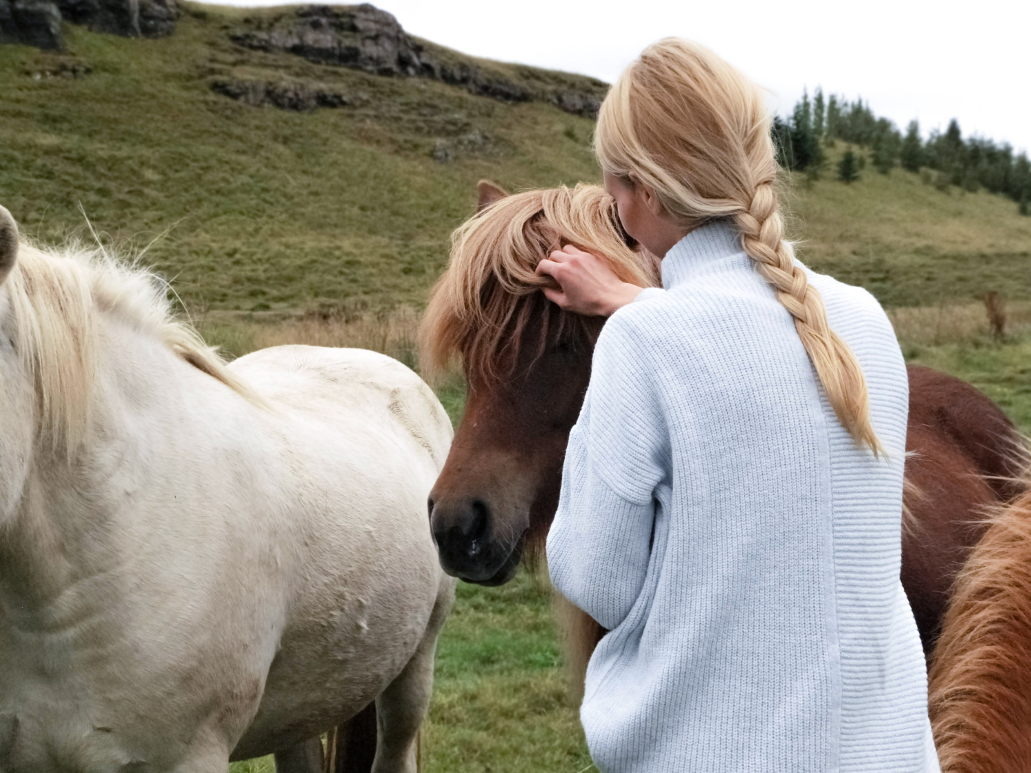 Unbridled Grace's image