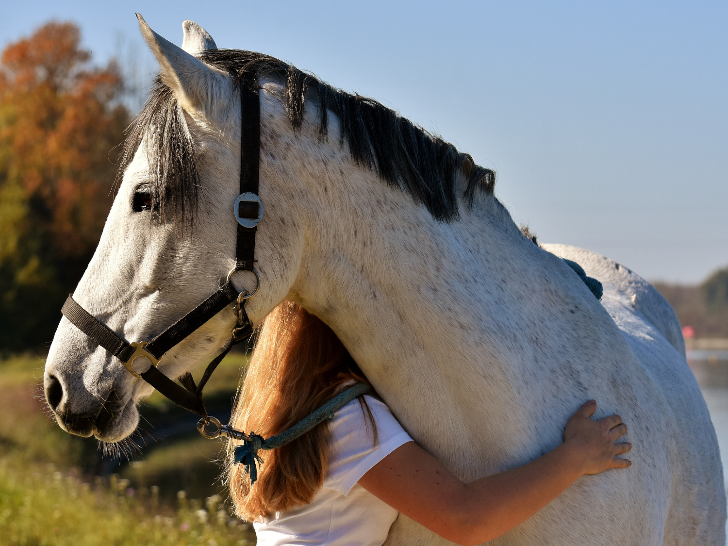 Unbridled Grace's image