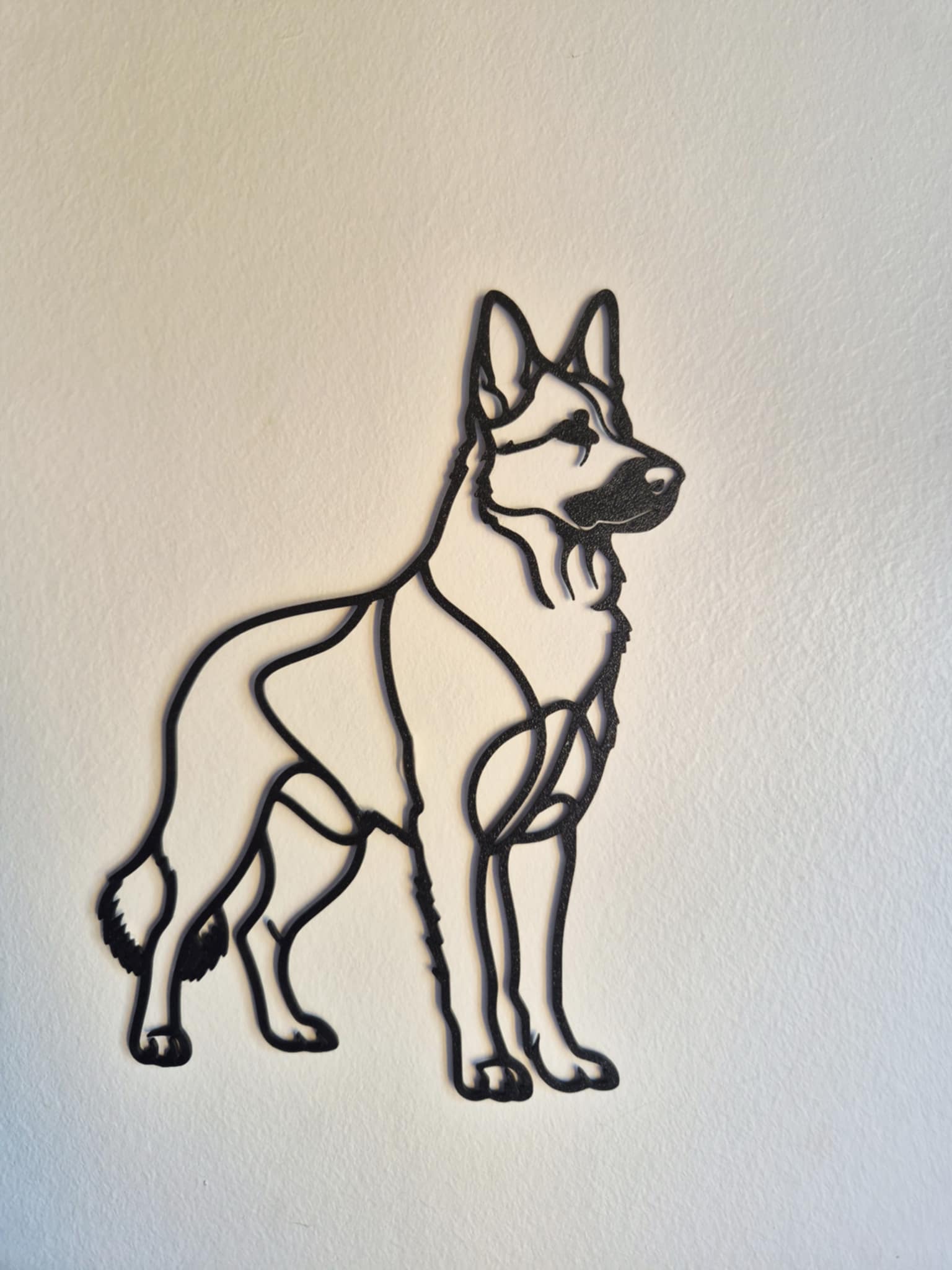 #36 German Shepherd by "Snowball"