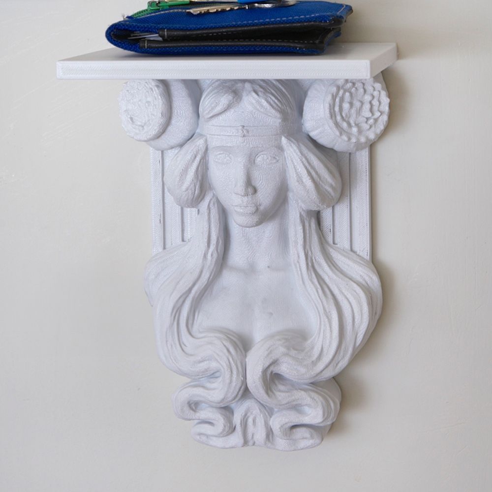 #45 Shelf by 3D Shook