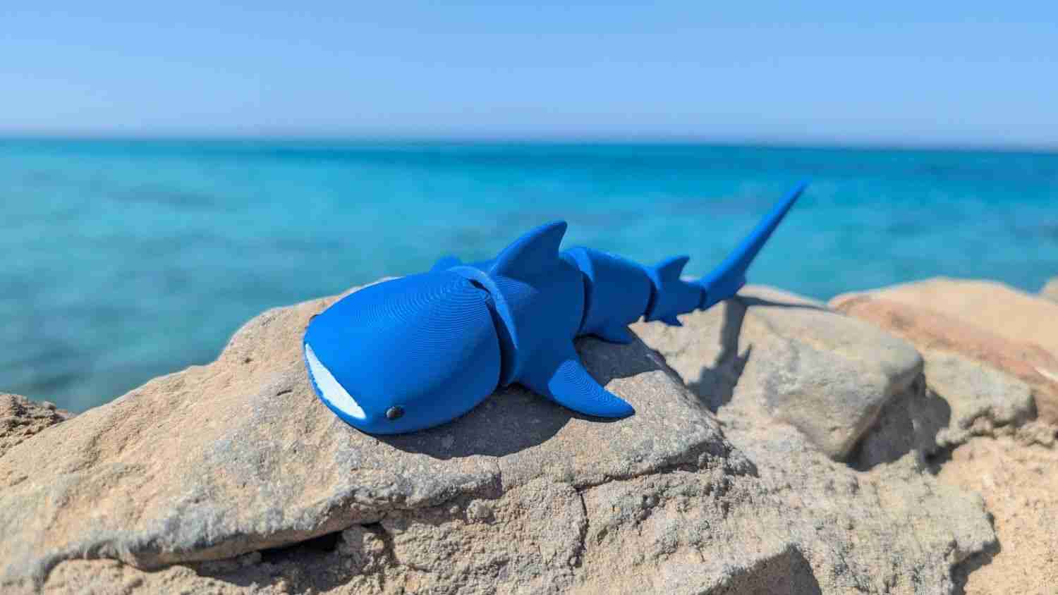 #24 Whale Shark by Biocraftlab