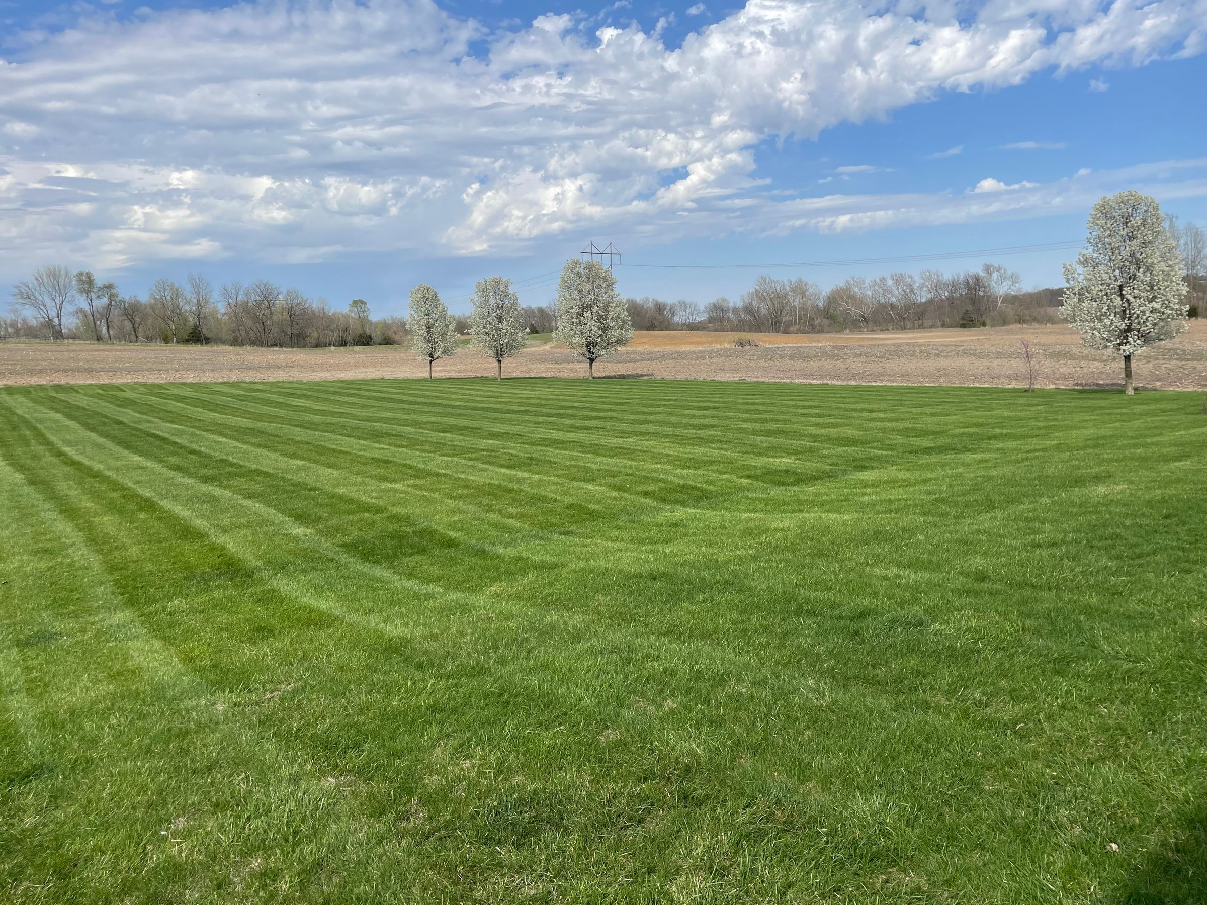K.W Lawn  's image
