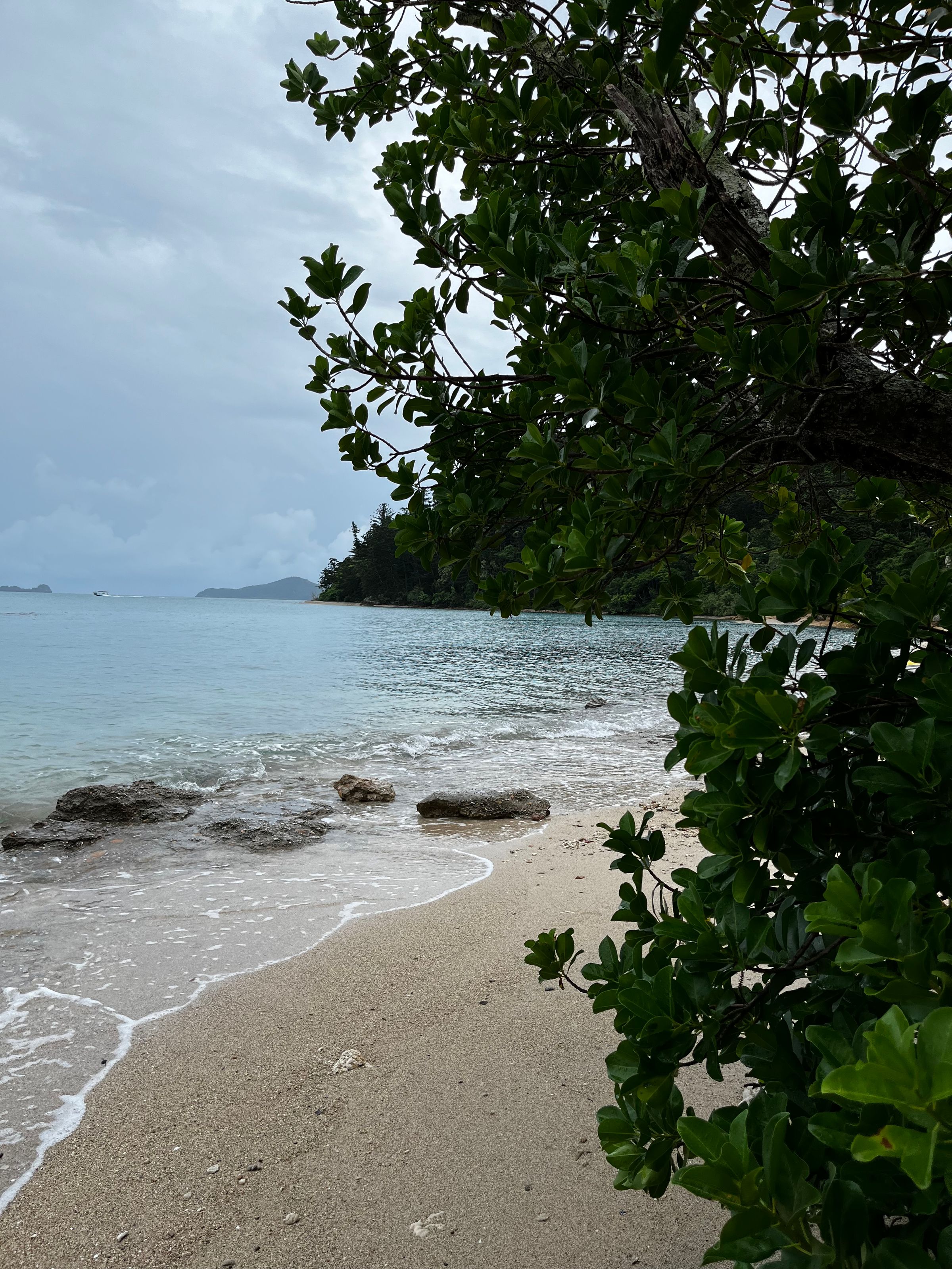 Home I Sage & Sea Travel's image