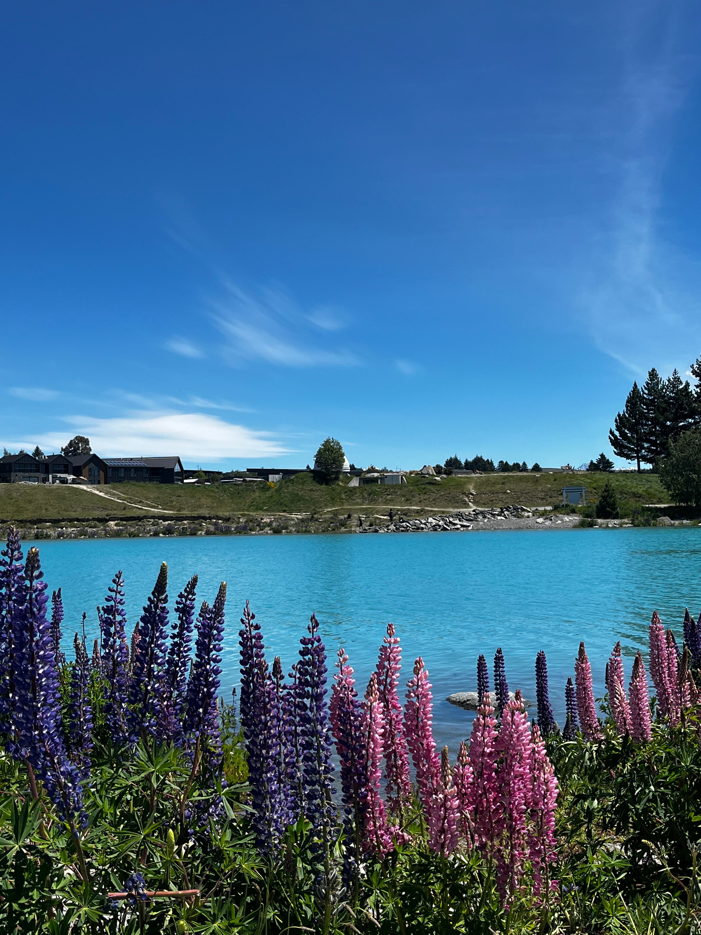 Home I Sage & Sea Travel's image