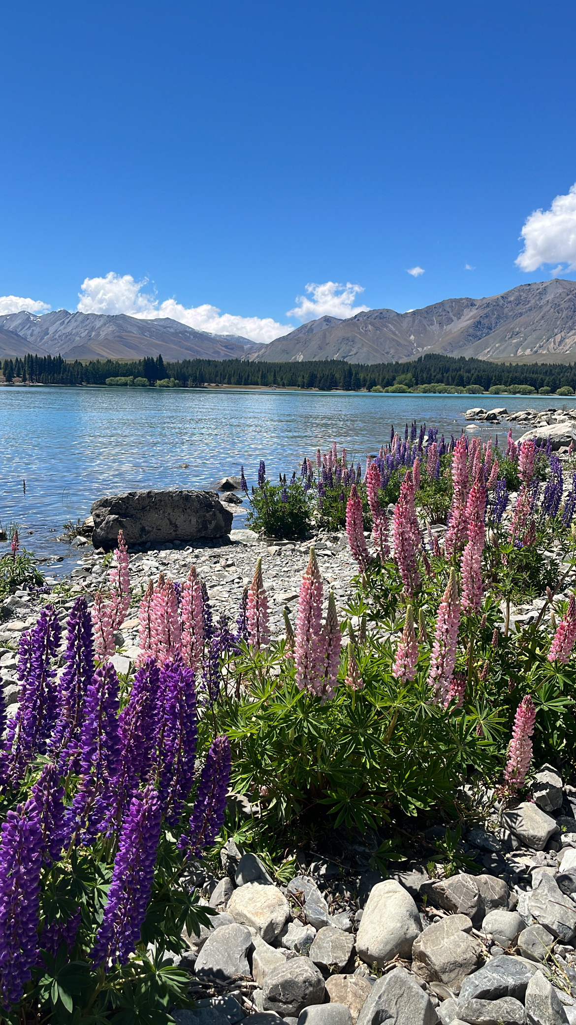 Home I Sage & Sea Travel's image