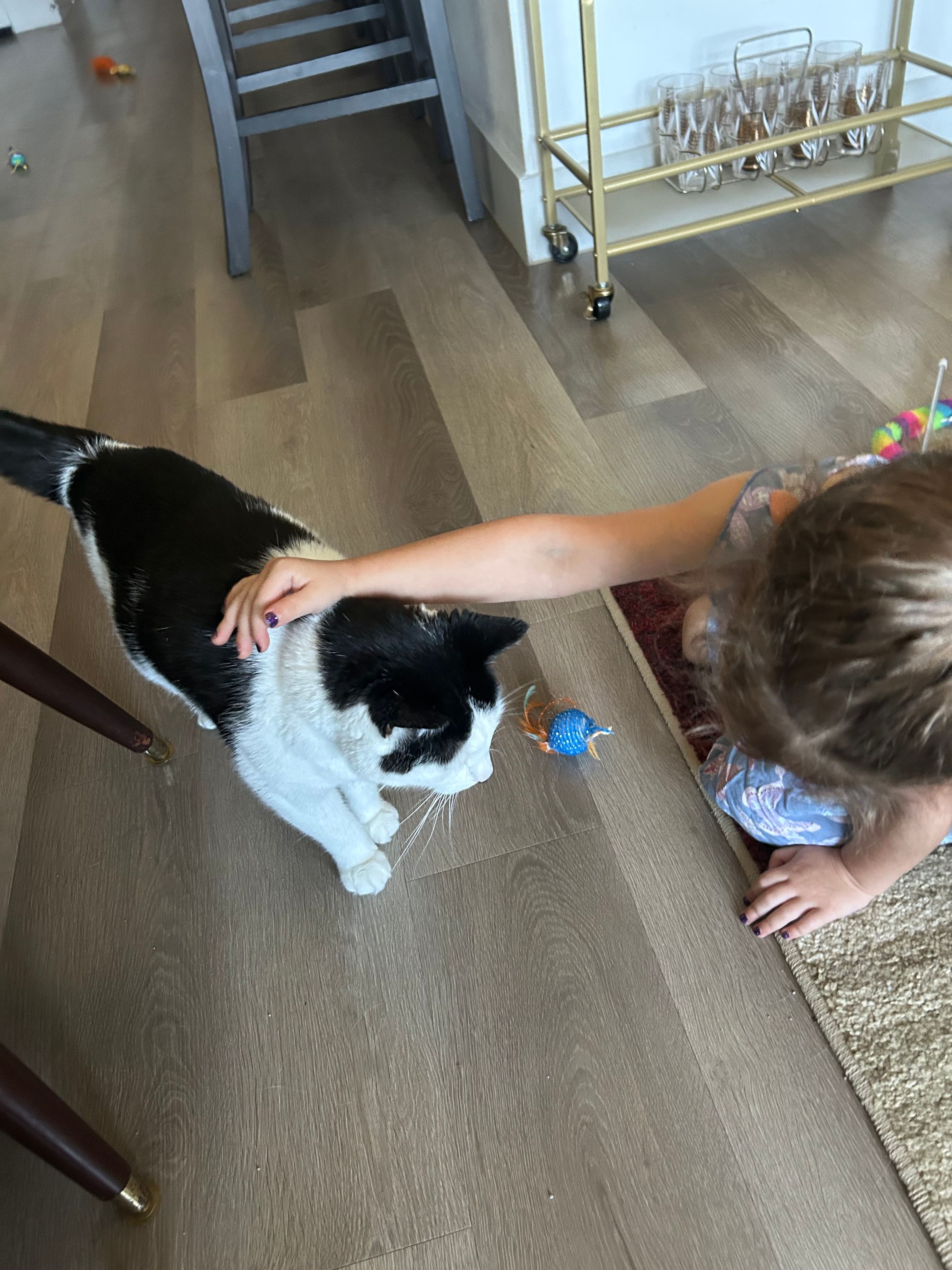 REYLA'S PETCARE's image