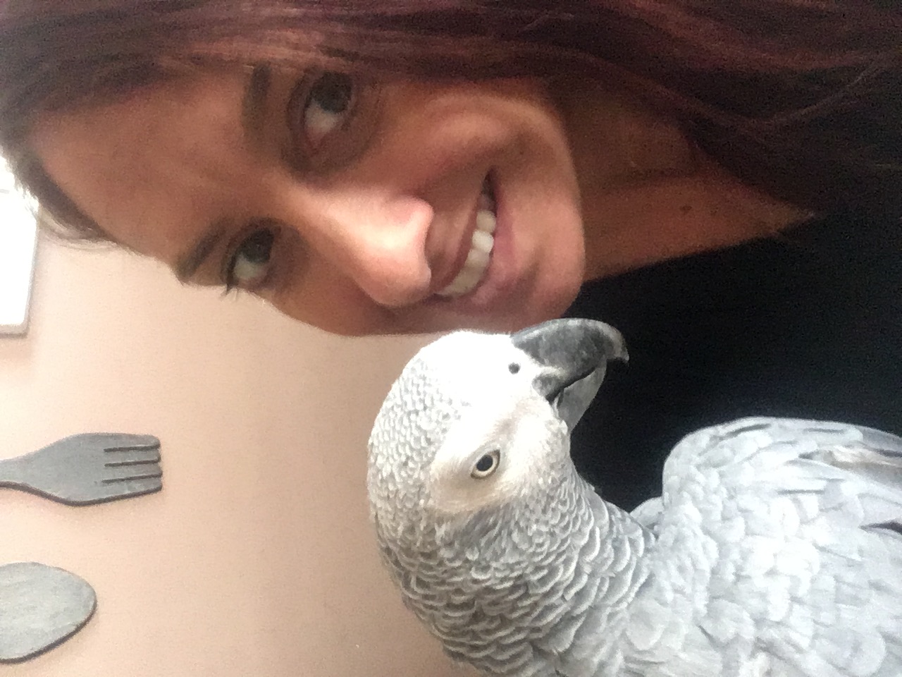 REYLA'S PETCARE's image