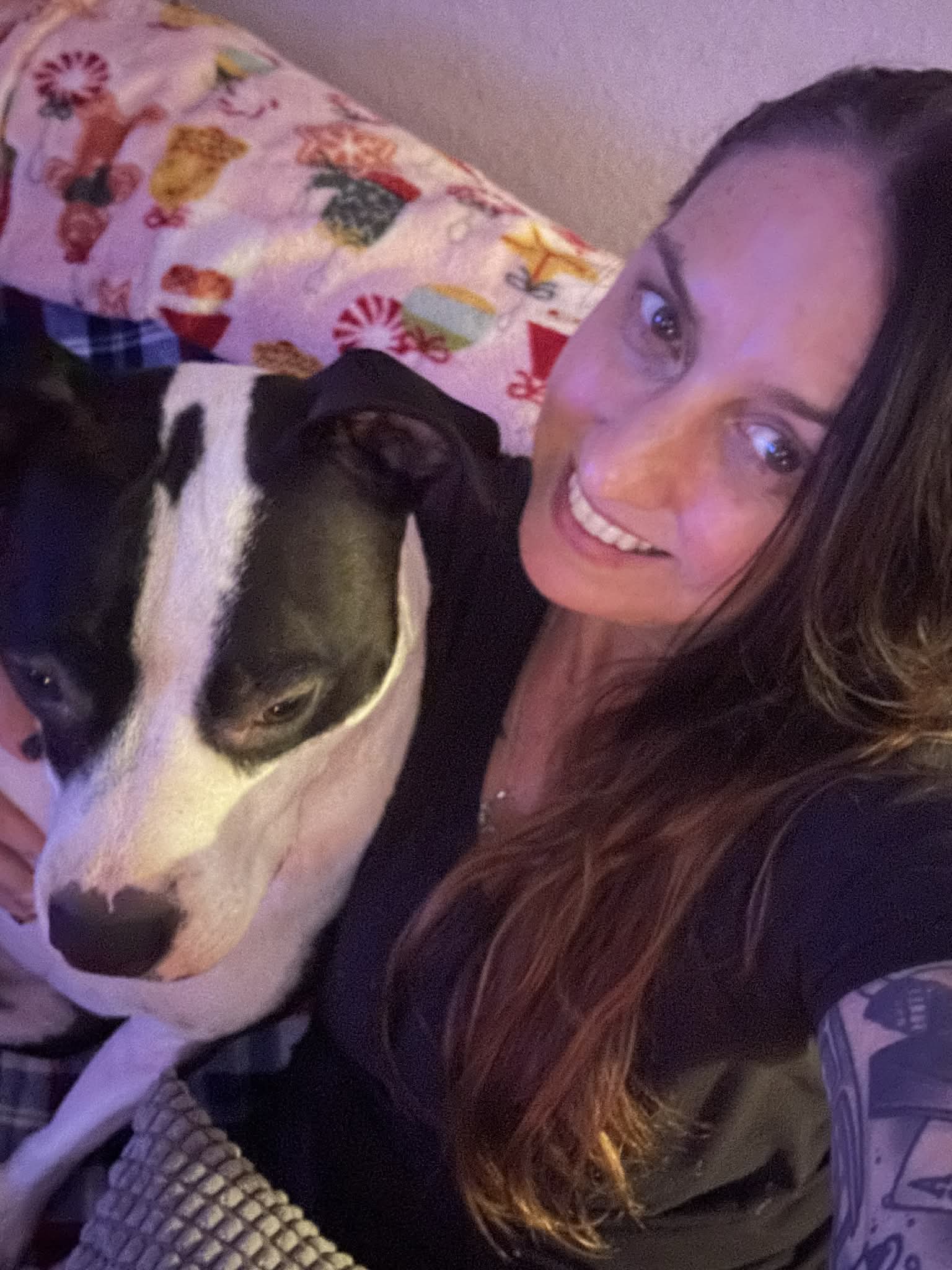 REYLA'S PETCARE's image