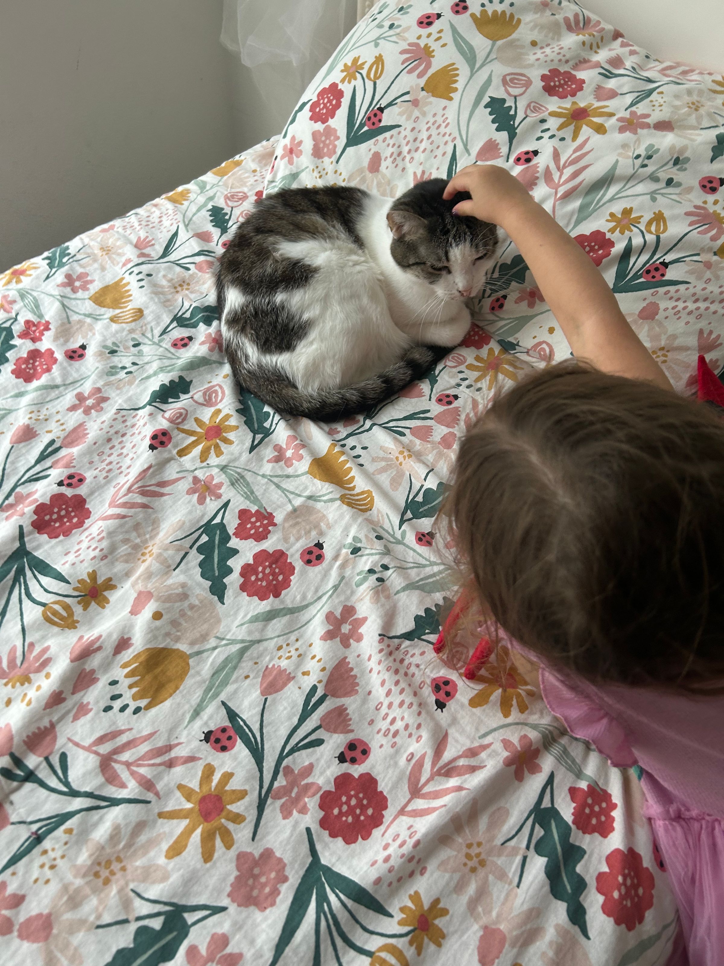 REYLA'S PETCARE's image