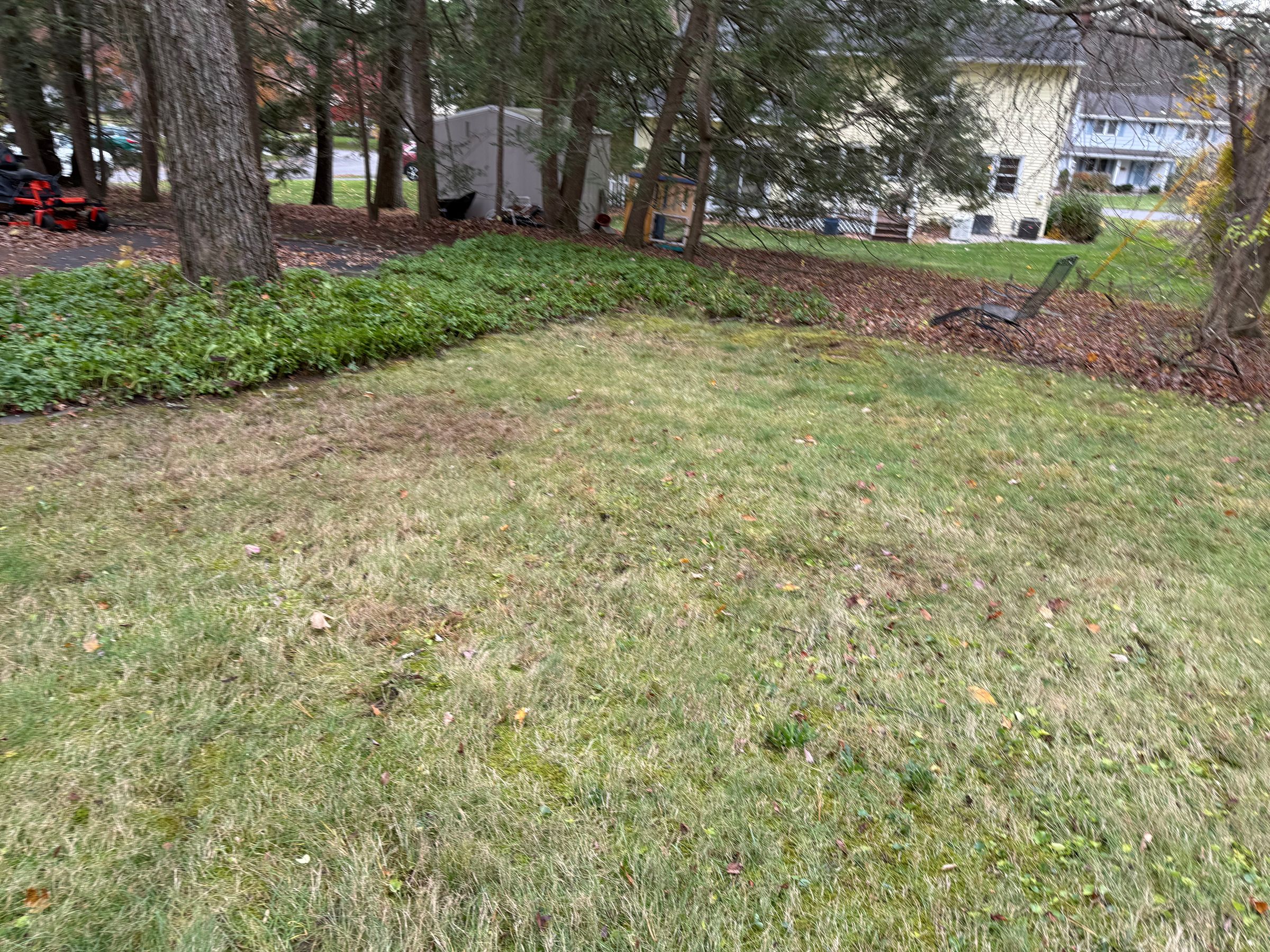 Valley View Lawns's image