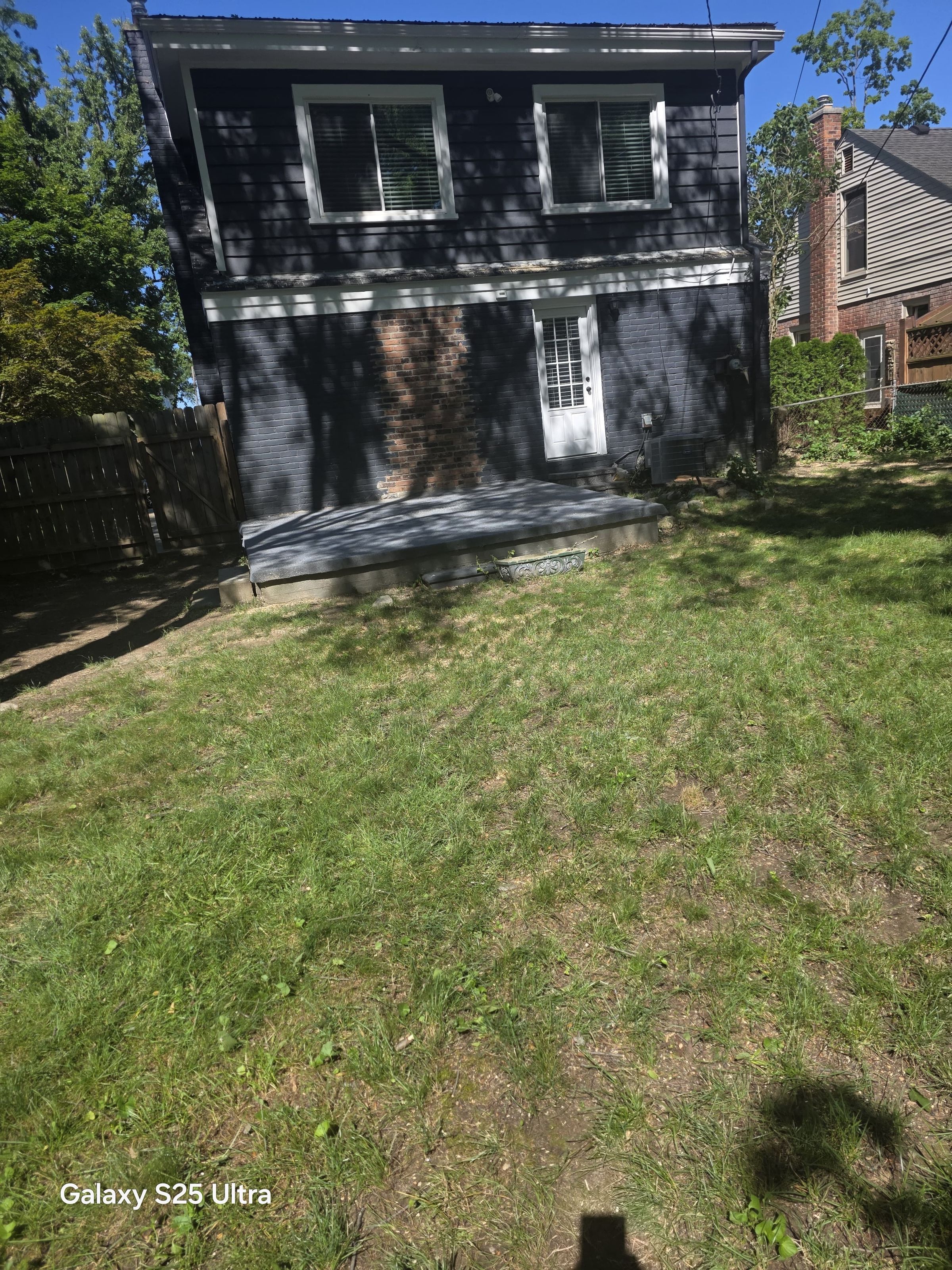 Tree Removal After