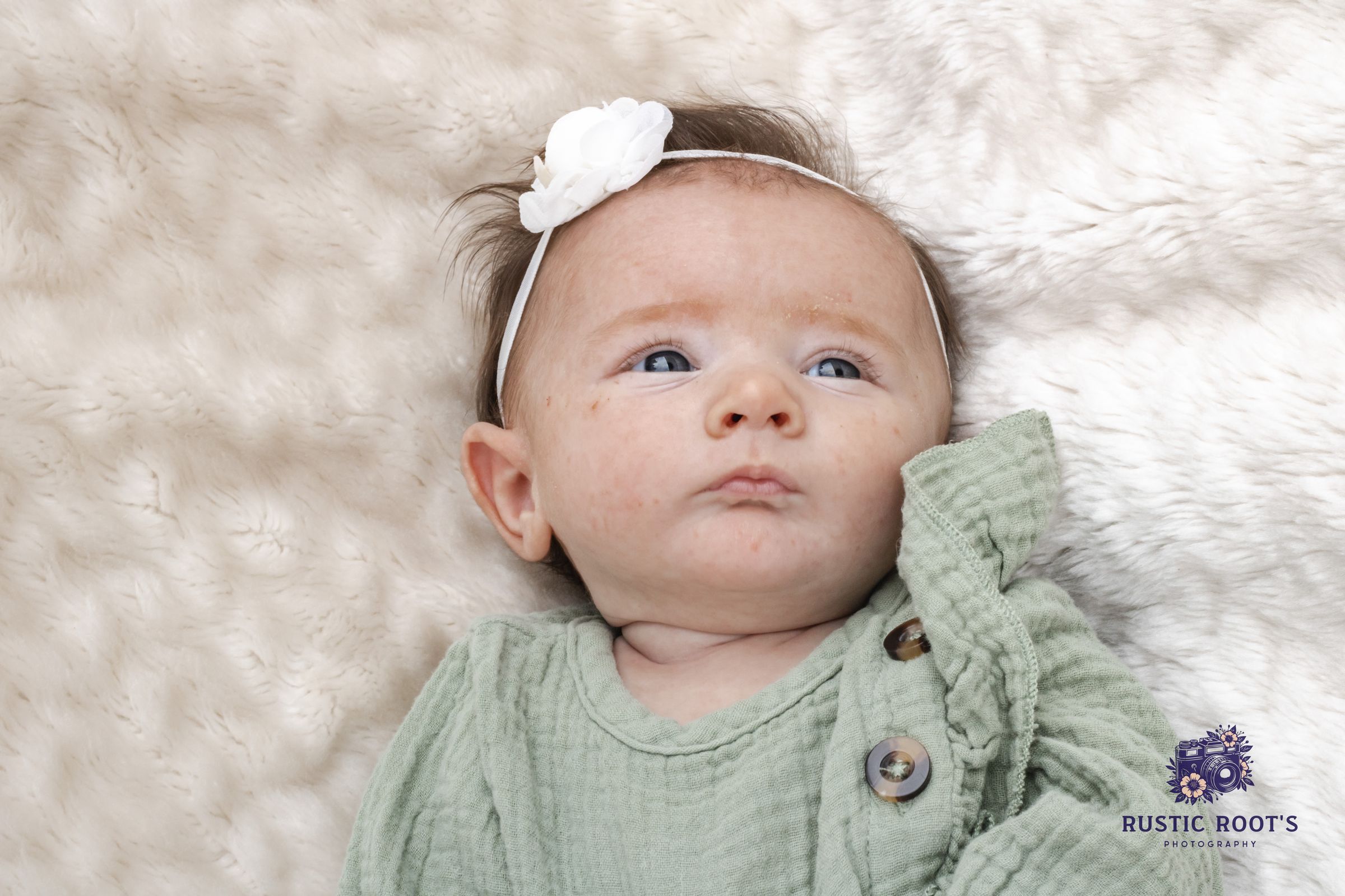 Rustic Root's Photography 's image