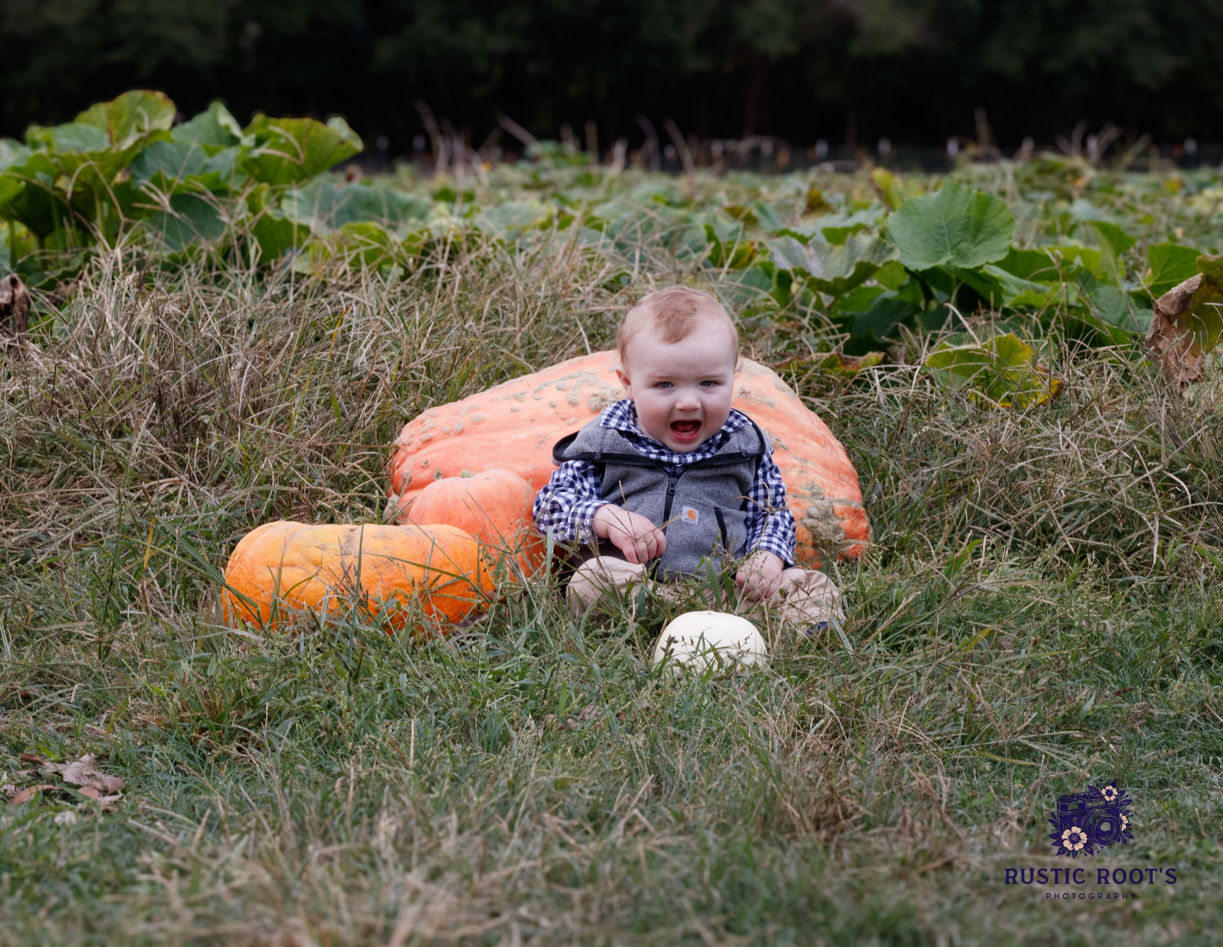 Rustic Root's Photography 's image