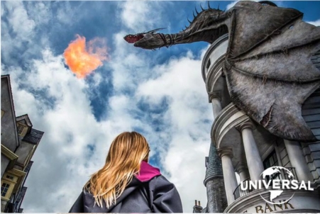 Roots-N-Routes Destinations's image