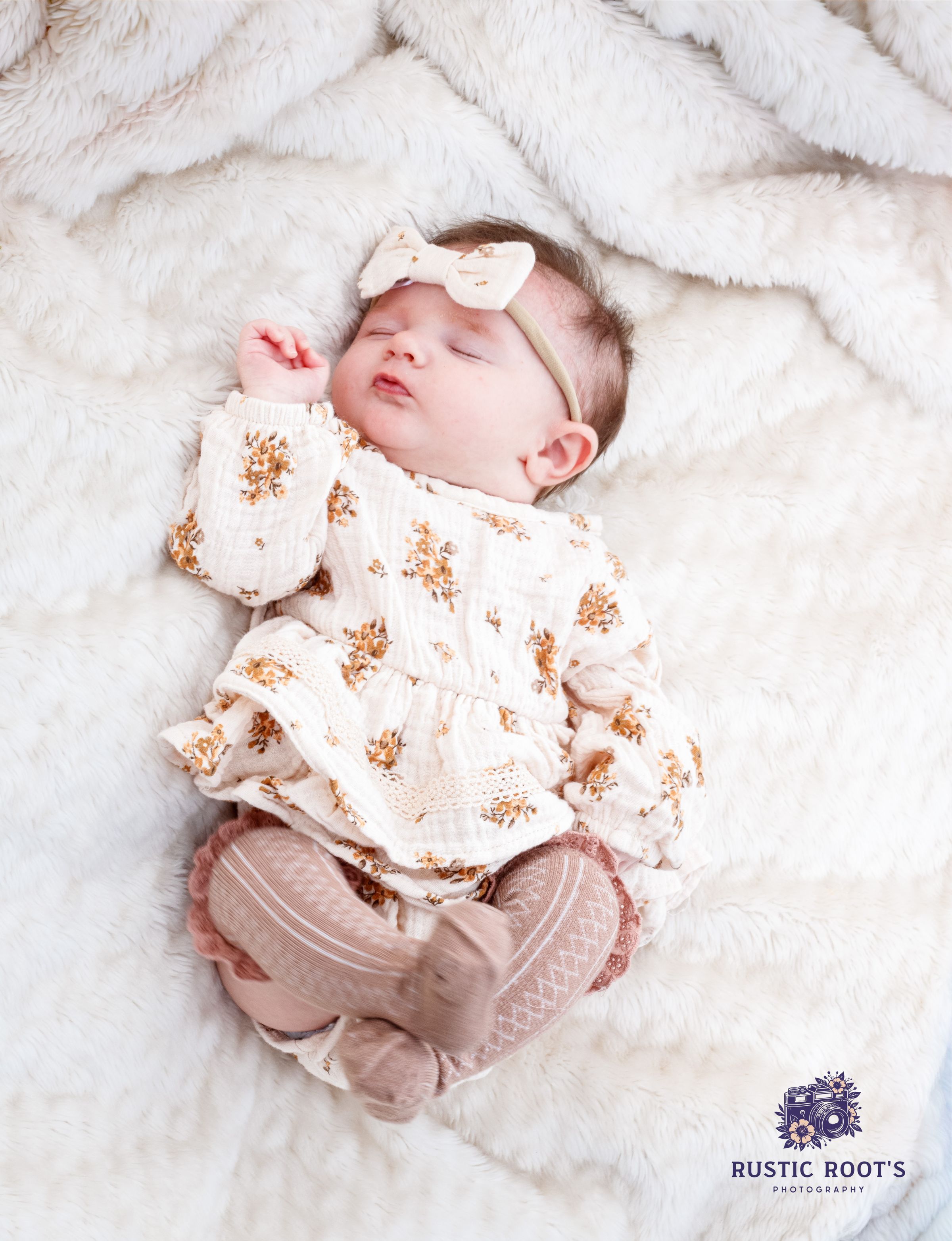 Rustic Root's Photography 's image