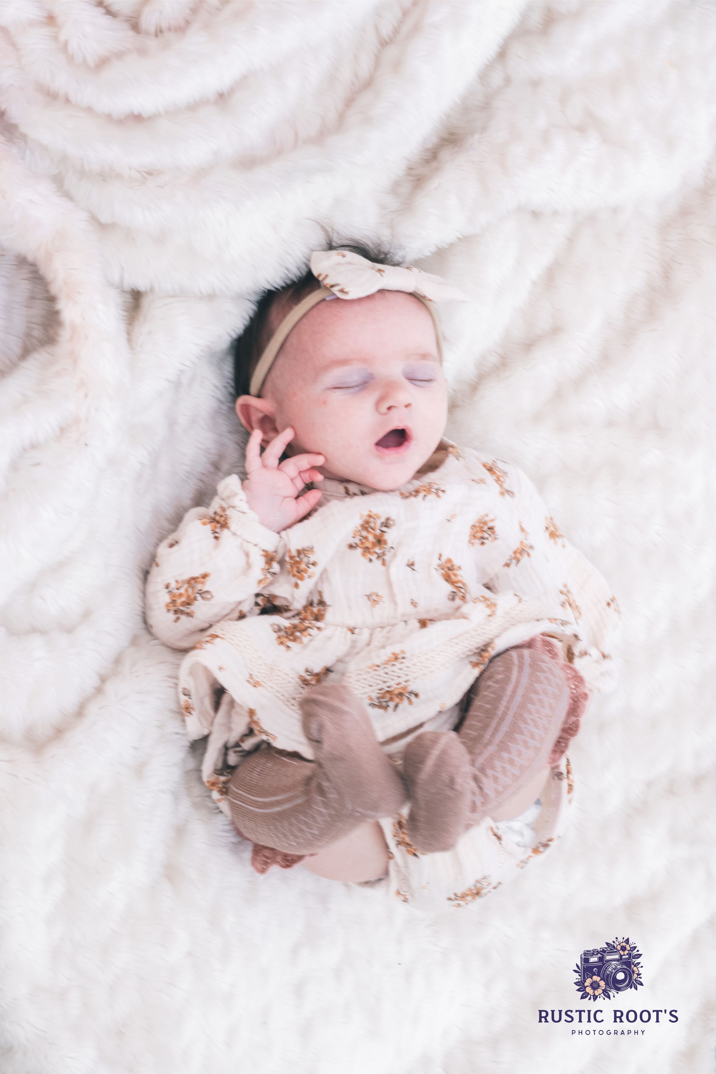 Rustic Root's Photography 's image