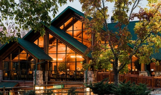 Roots-N-Routes Destinations's image