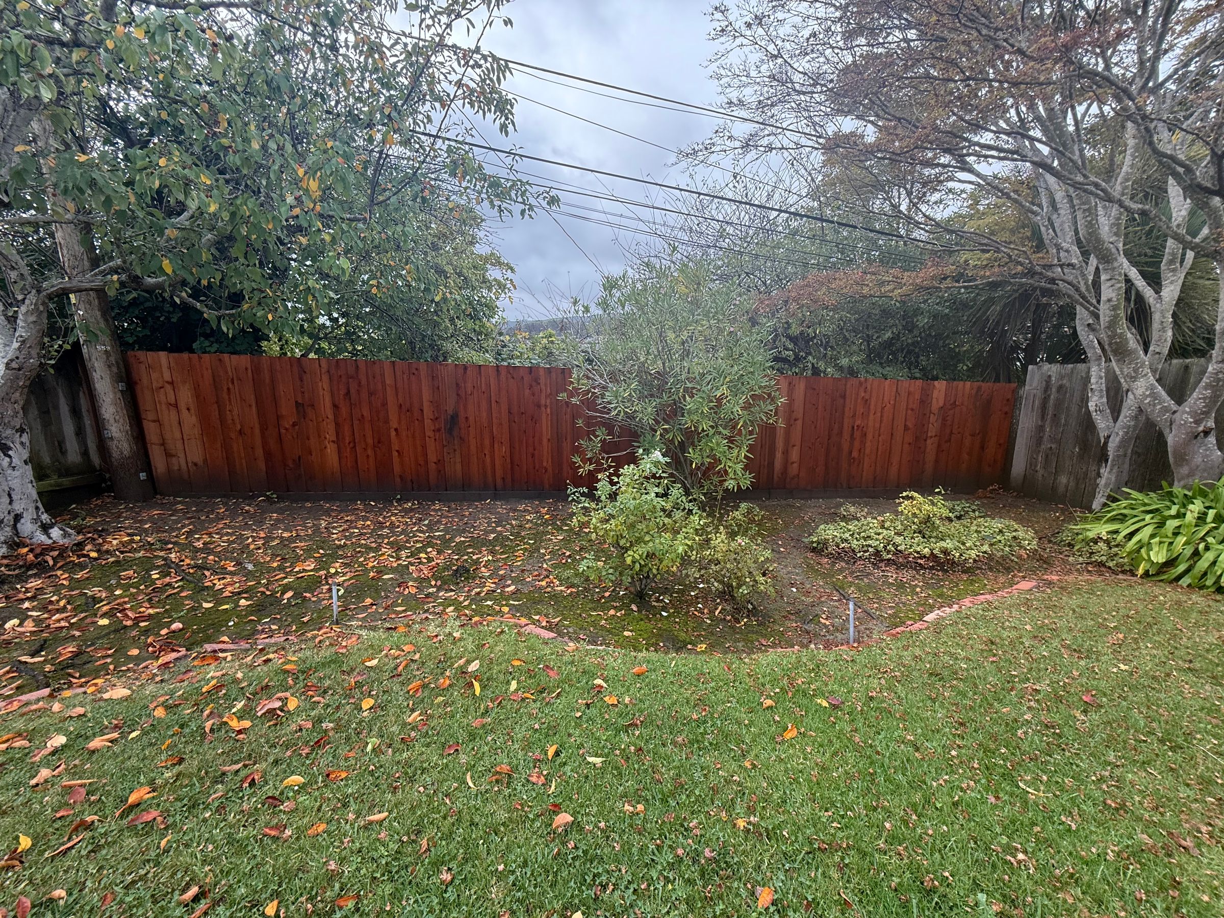 TMZ landscaping's image