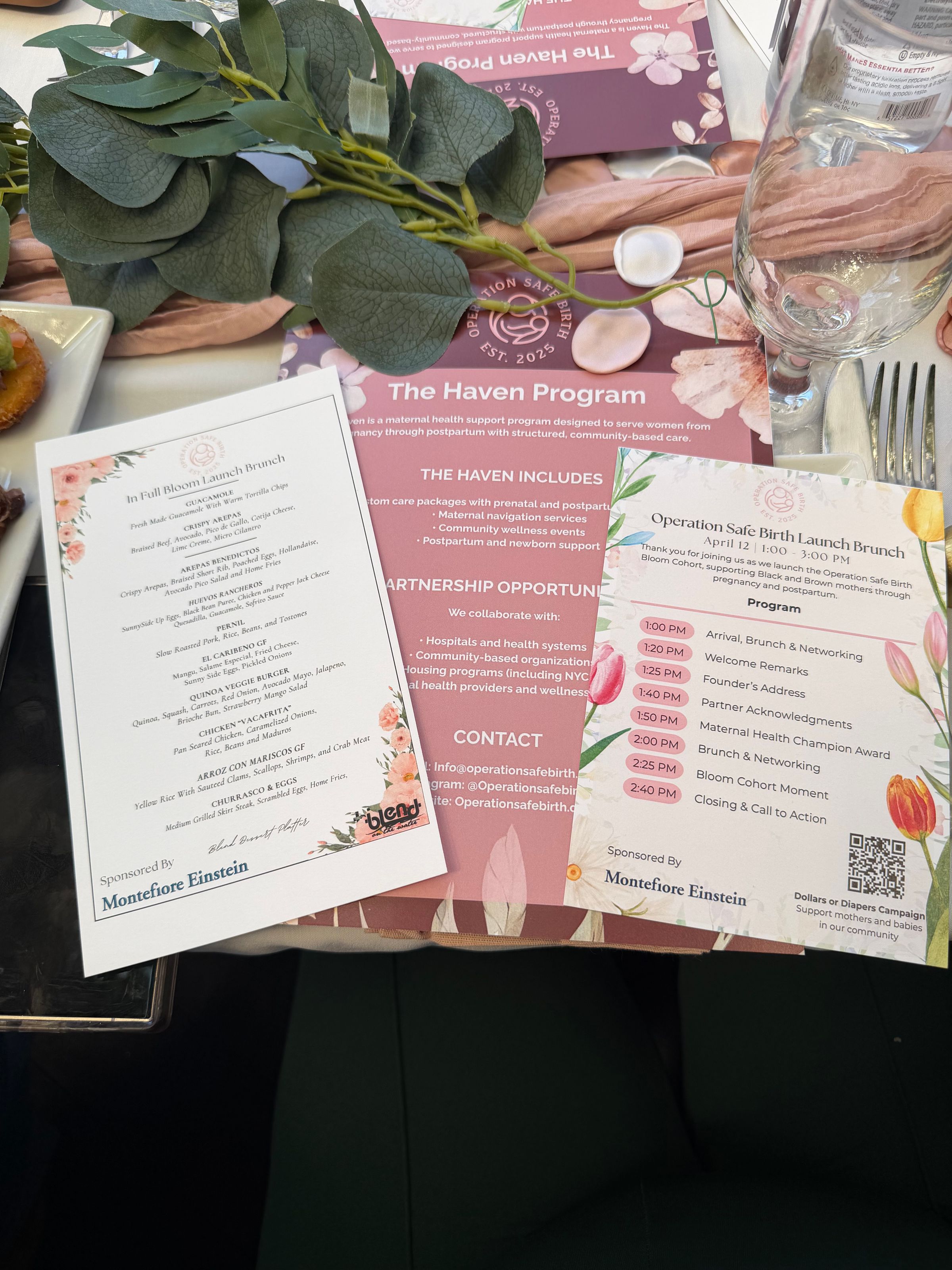 OPERATION SAFE BIRTH's image