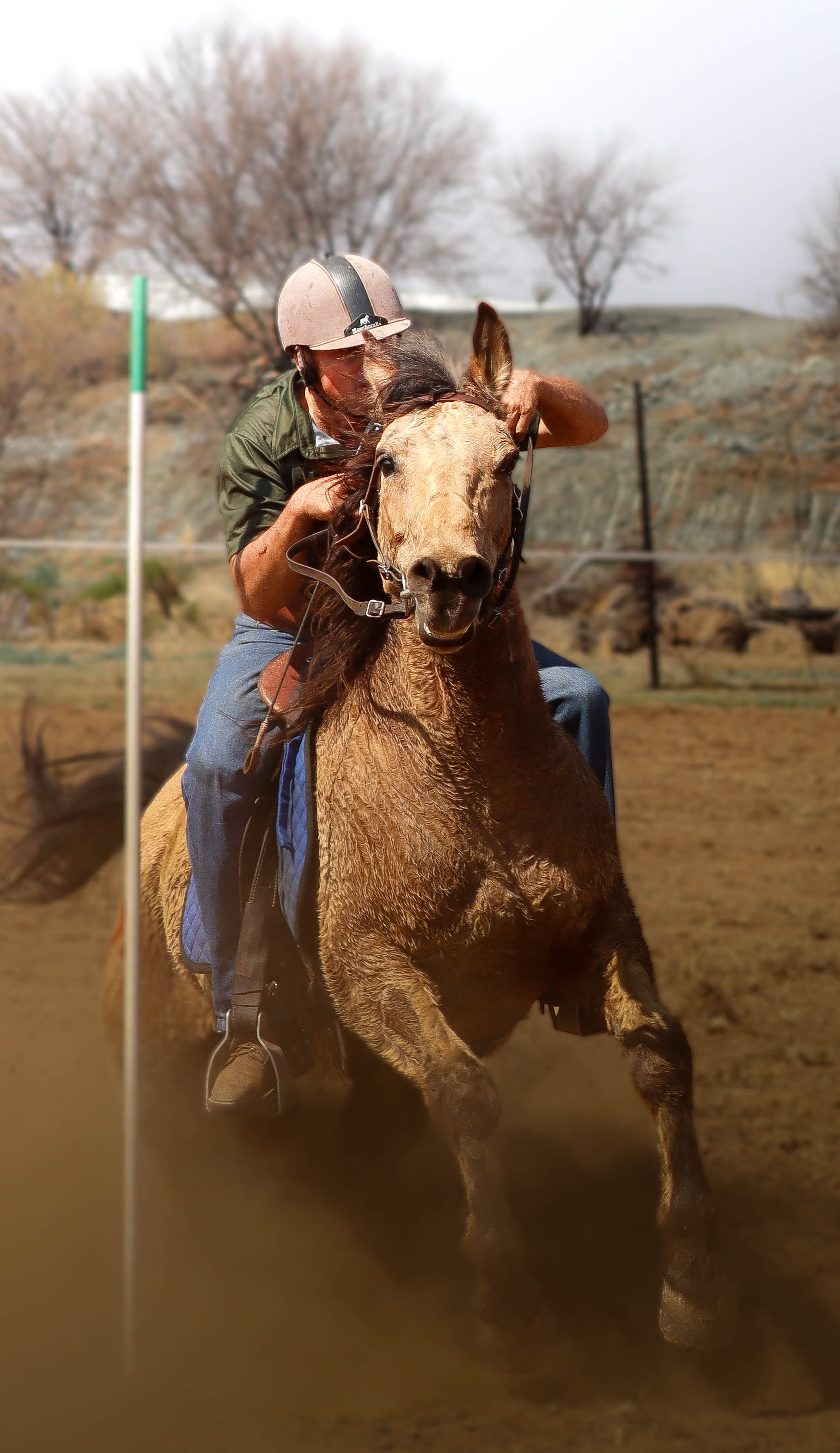 GritGetaways Website's image