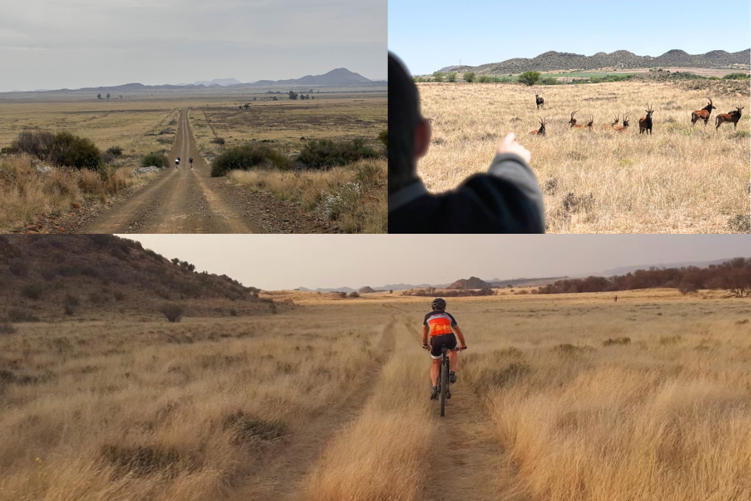 GritGetaways Website's image