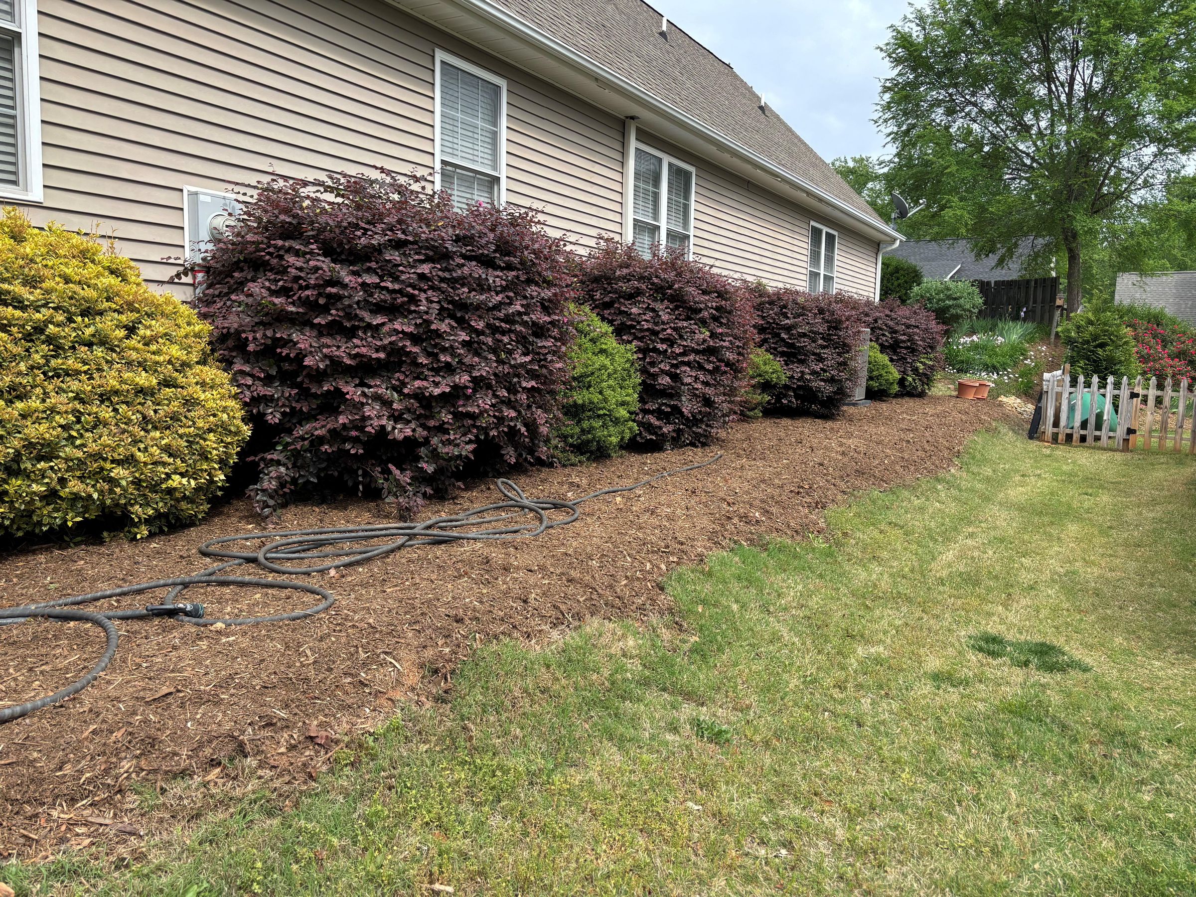 - Family member of Angi's customer avatar