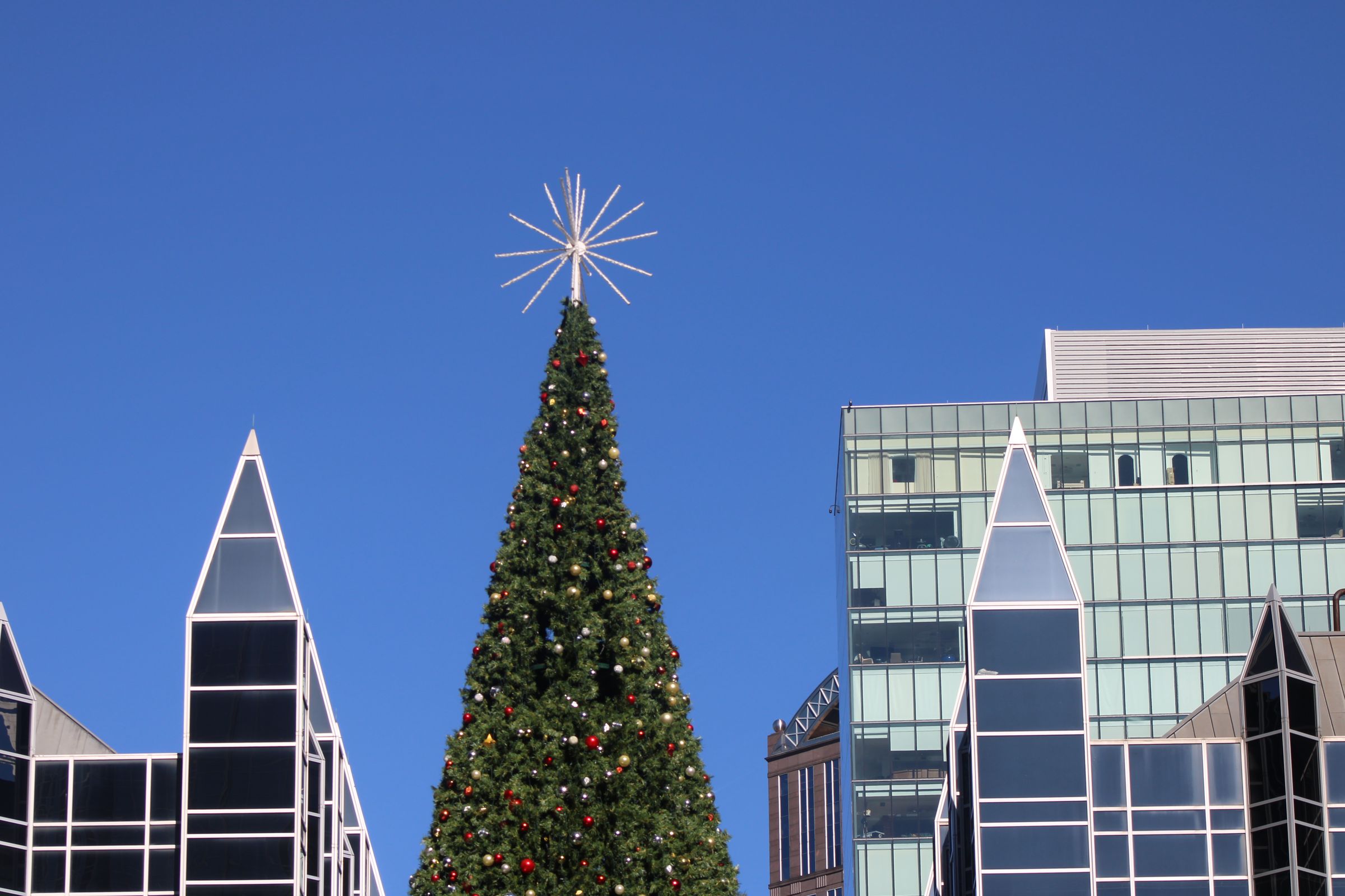 Flak Pak Attire's image