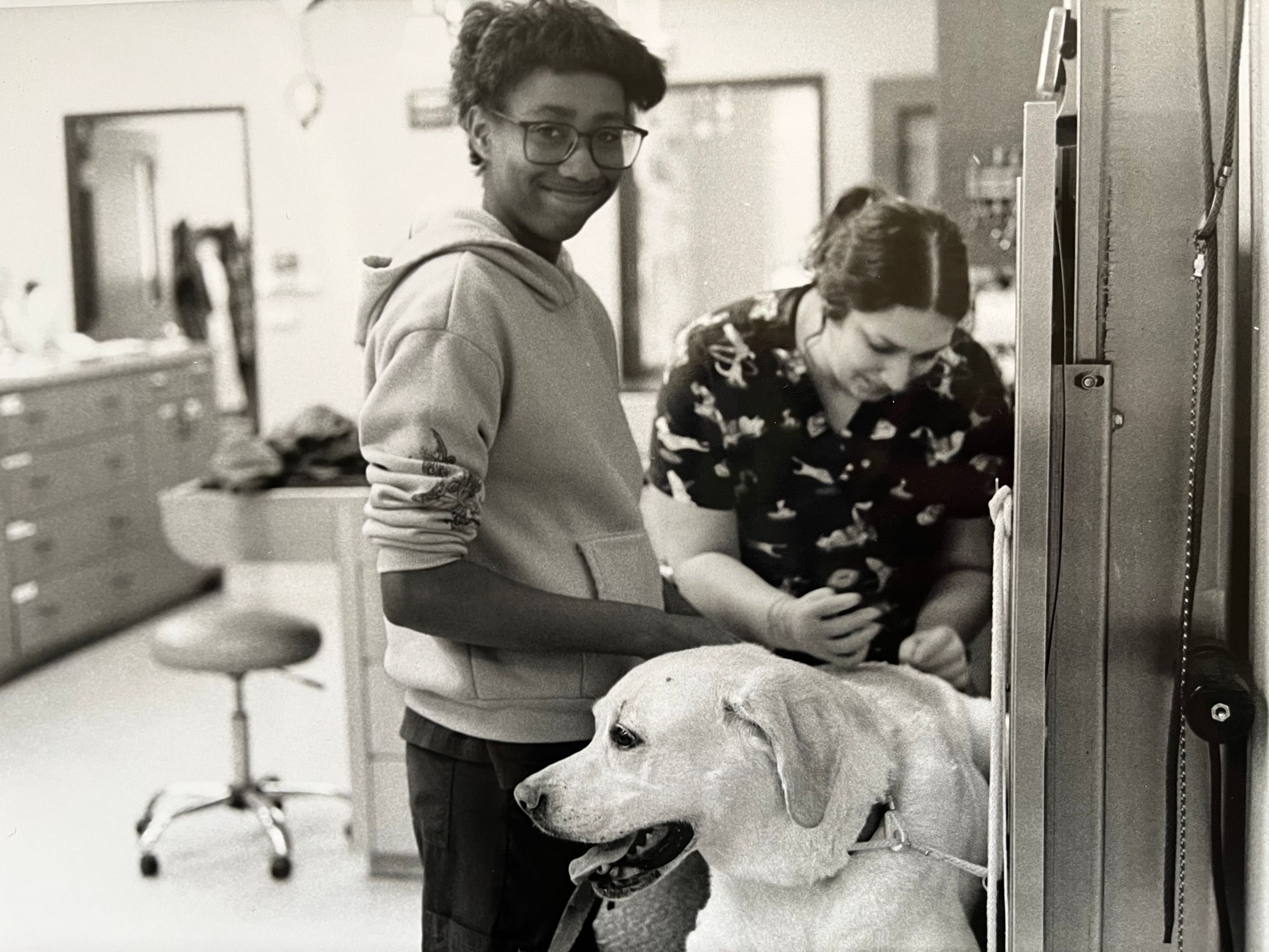 Animals in the work place series