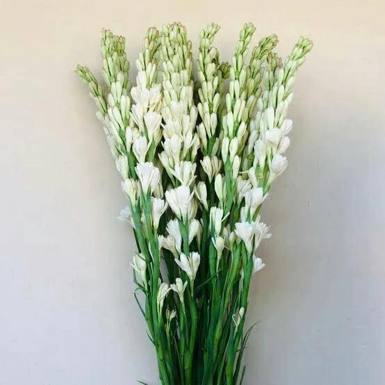 Isle of Bloom Florist Ungasan's image