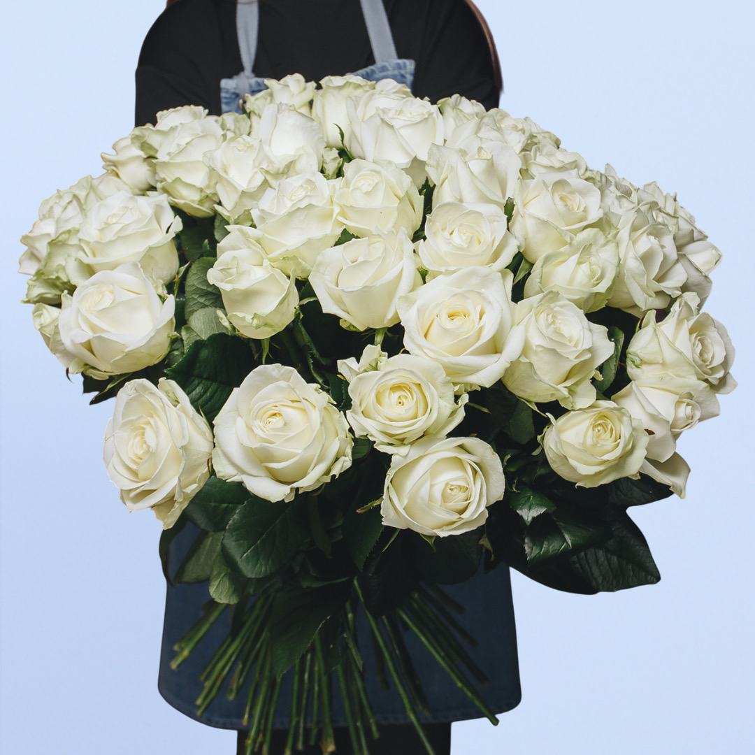 88 Classic White Roses