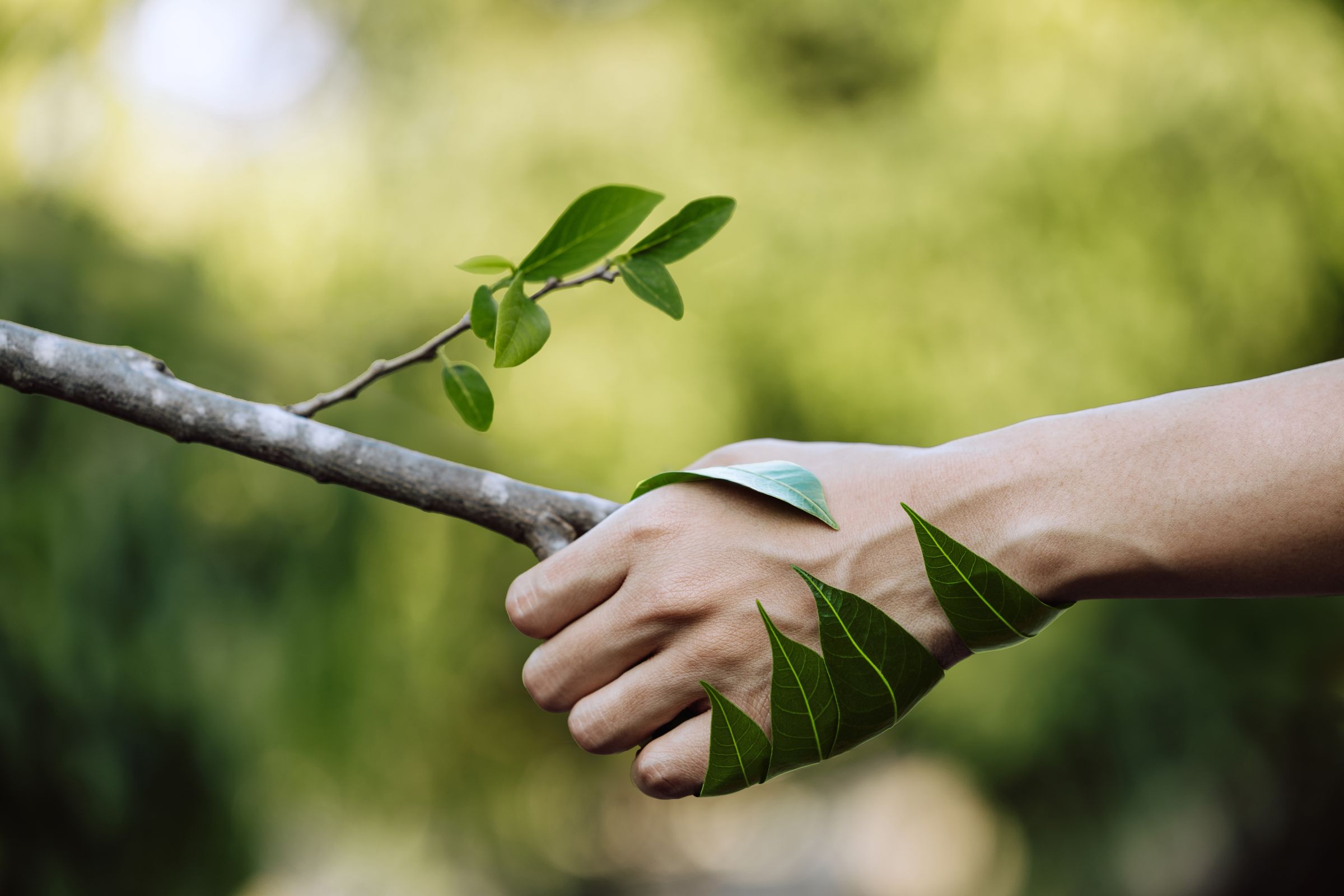 Business Consultancy & Compliance | Green Horizon UK's image