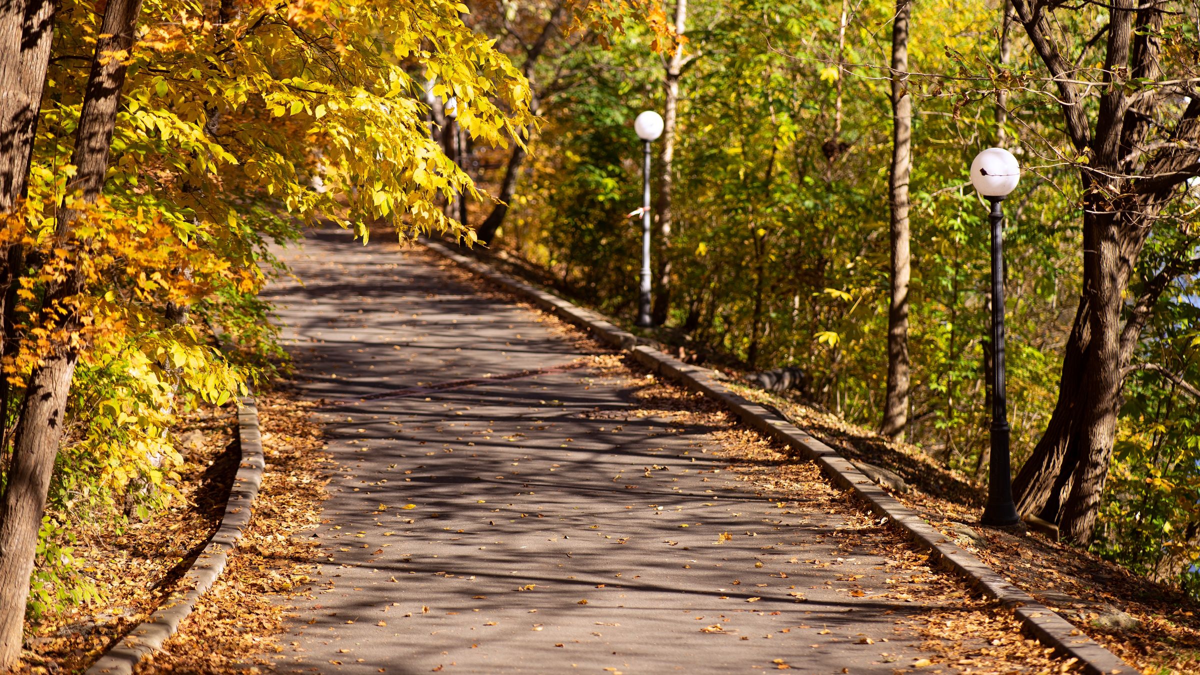Business Consultancy & Compliance | Green Horizon UK's image