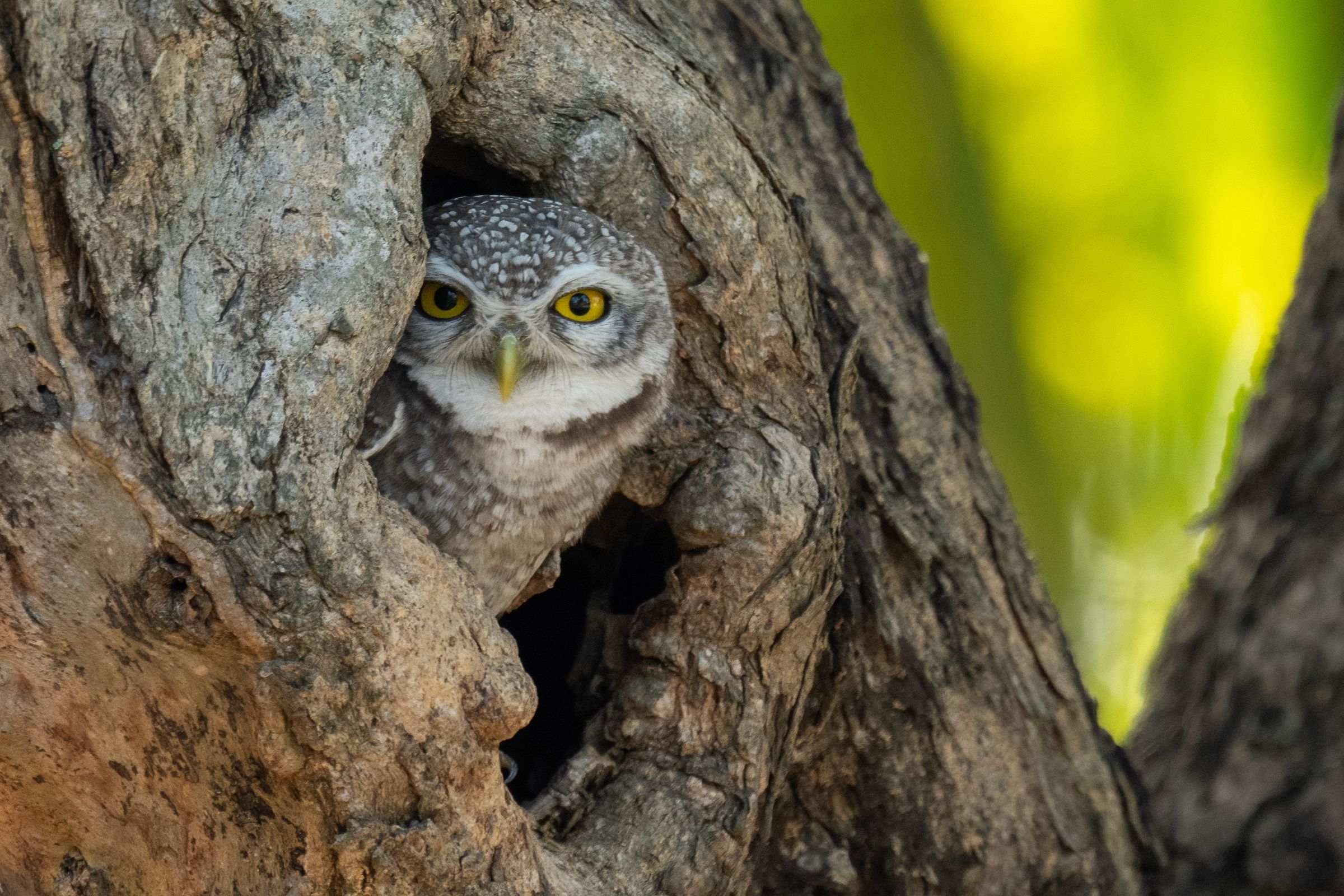 Business Consultancy & Compliance | Green Horizon UK's image
