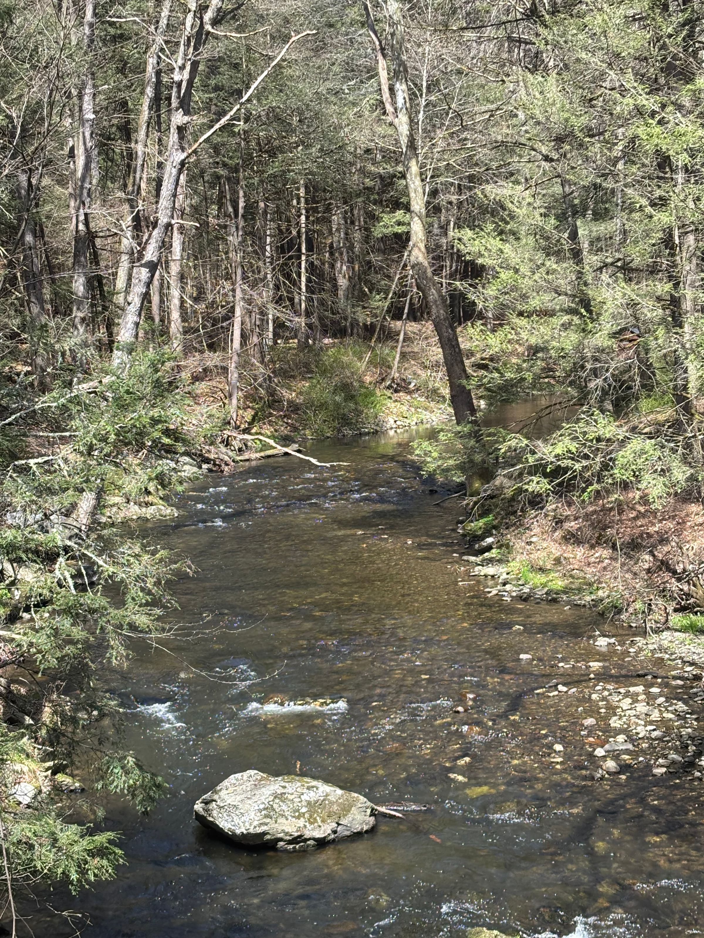 Full Circle Healing at Netherwood's image