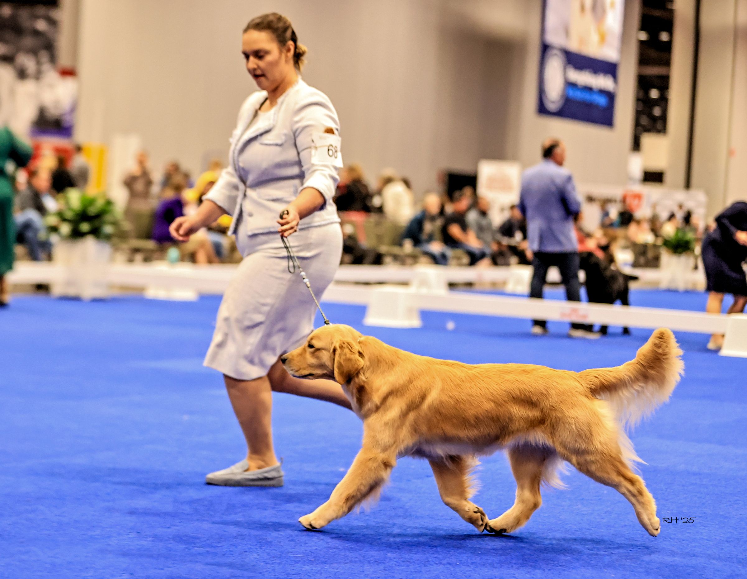 Winstone Goldens 's image