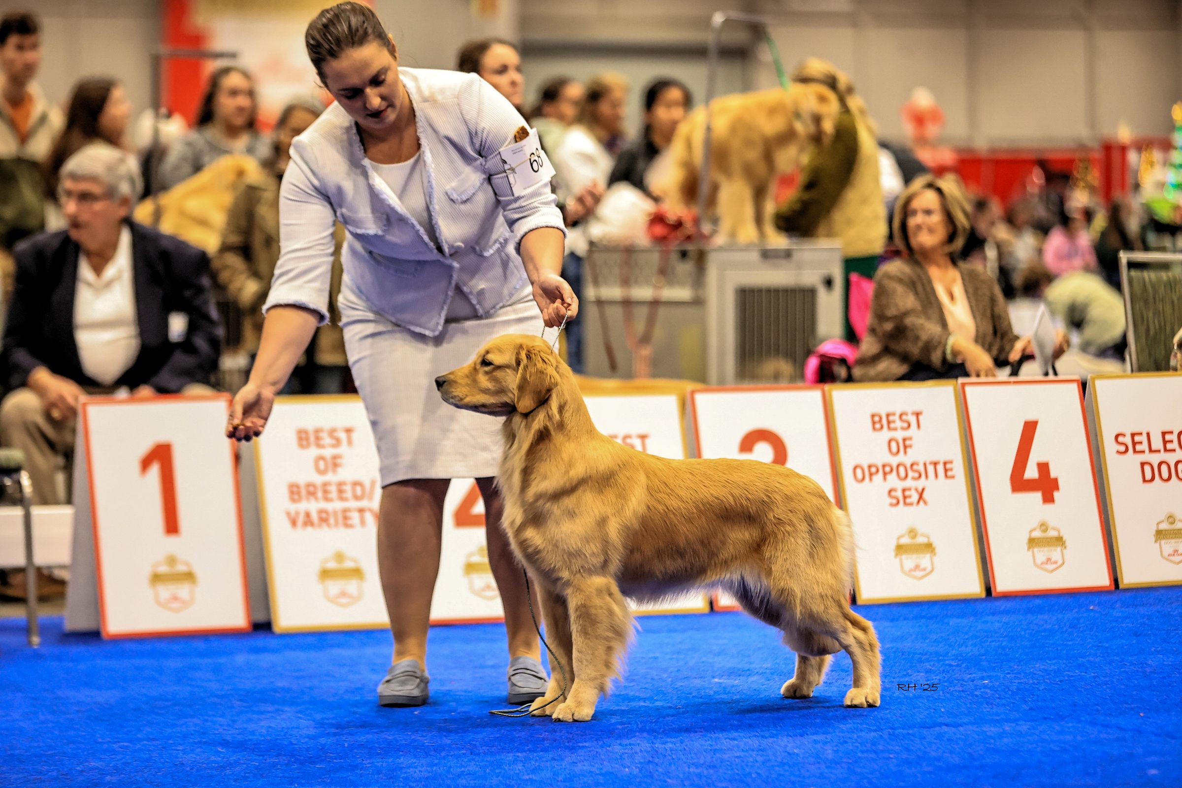 Winstone Goldens 's image