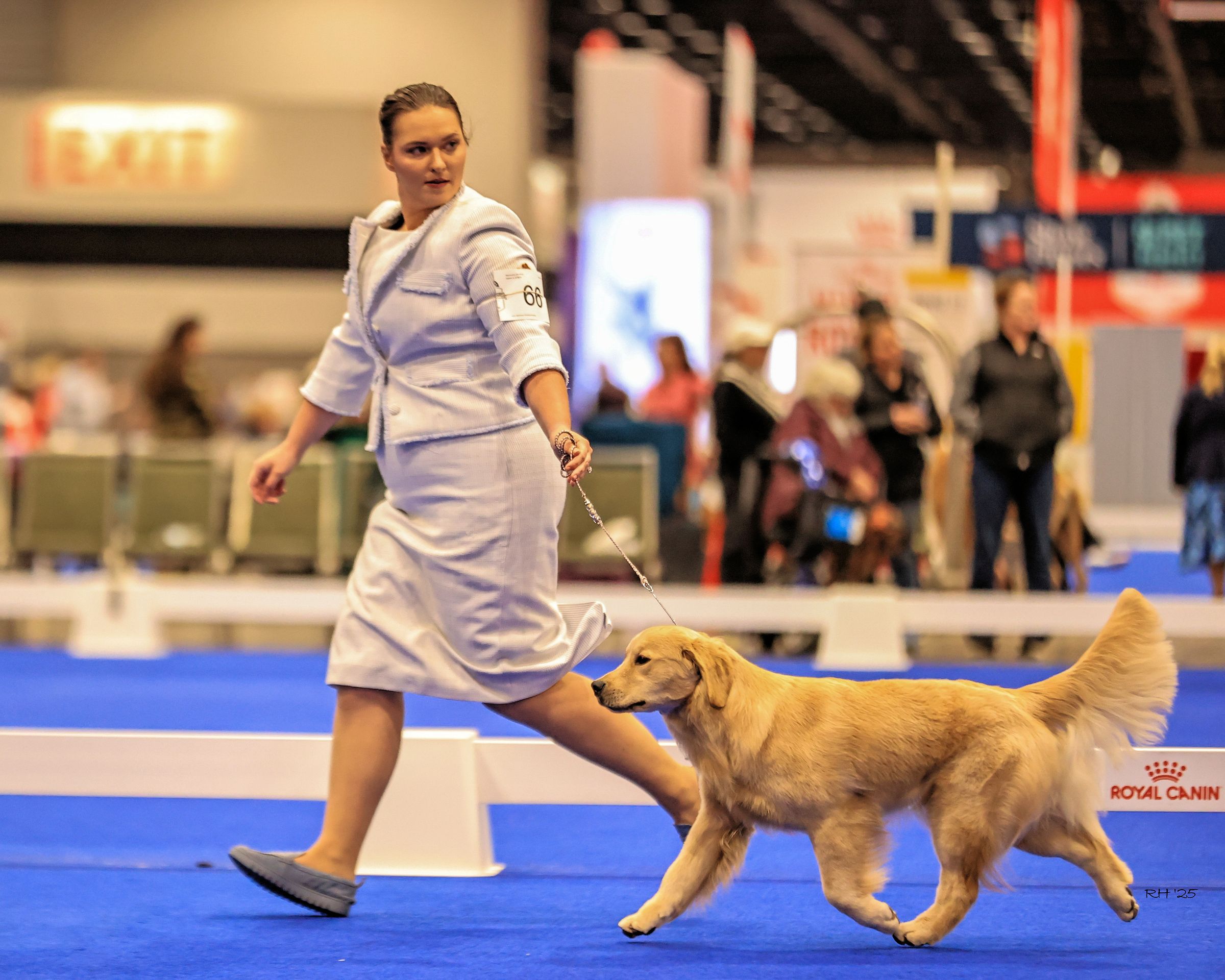 Winstone Goldens 's image