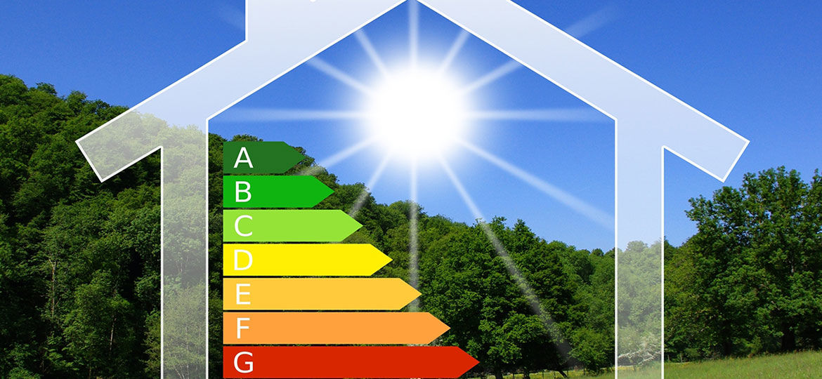 Brg ecologia 's image