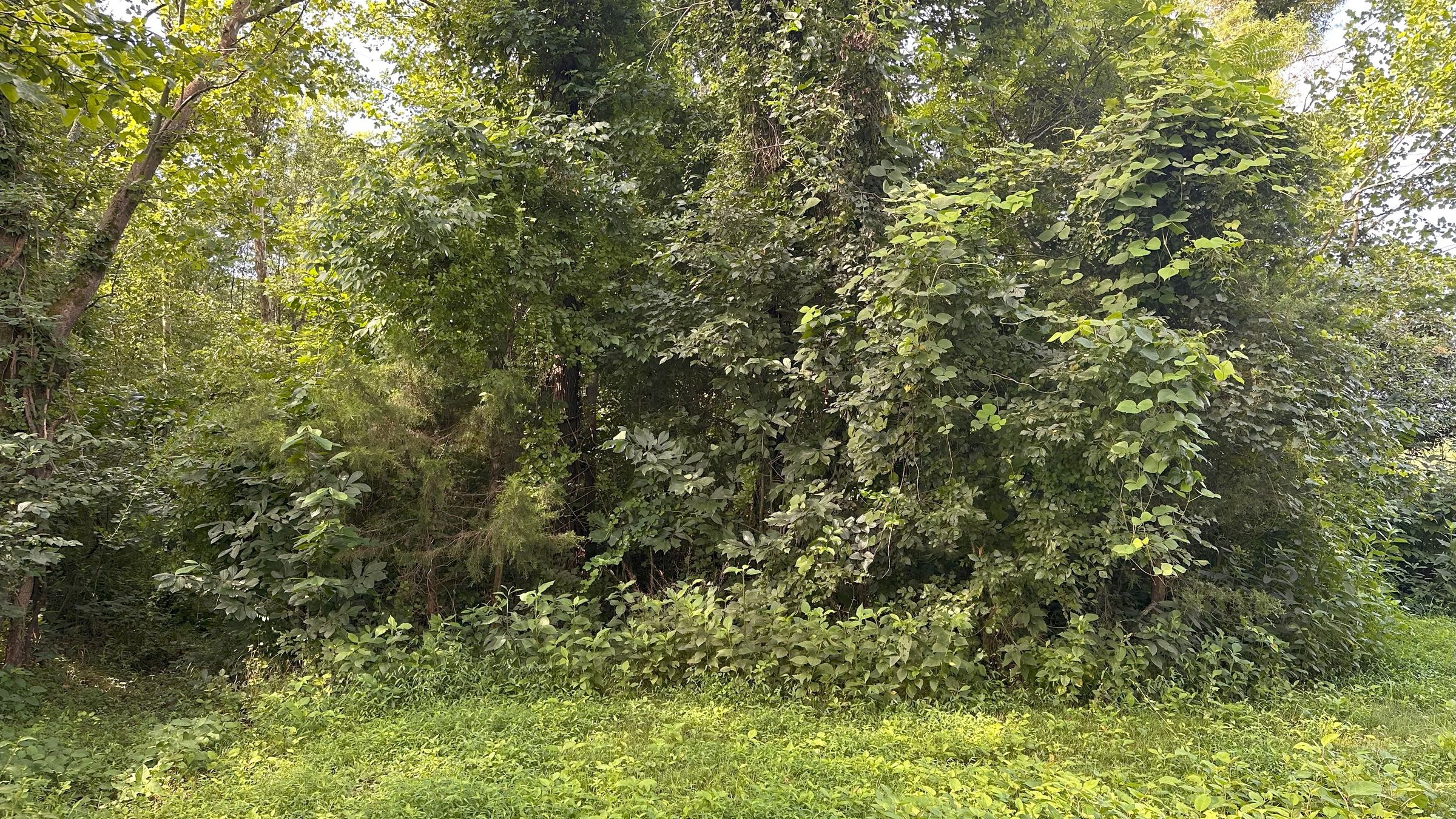 Ground Up Landworks's image