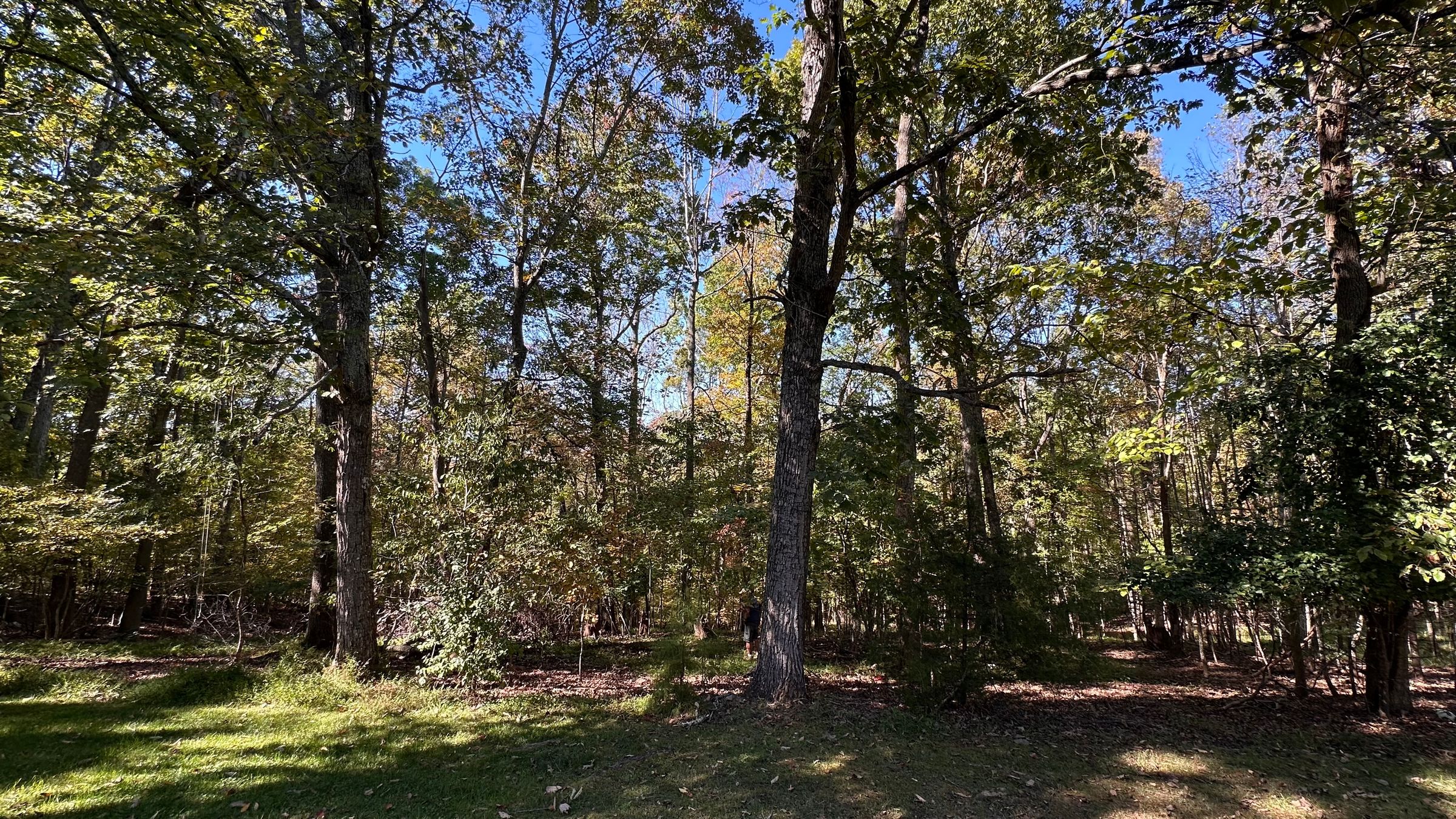 Ground Up Landworks's image