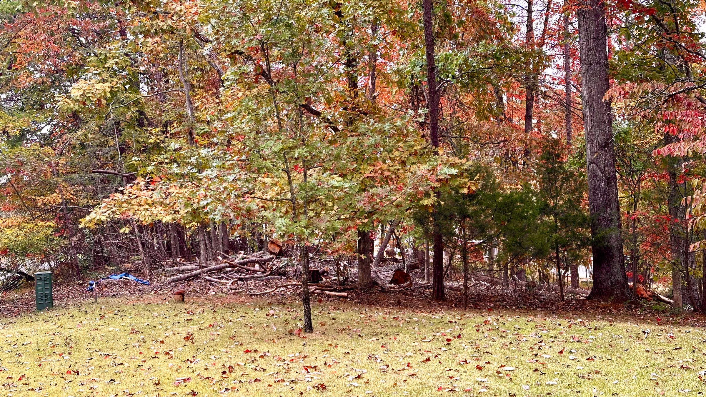 Ground Up Landworks's image