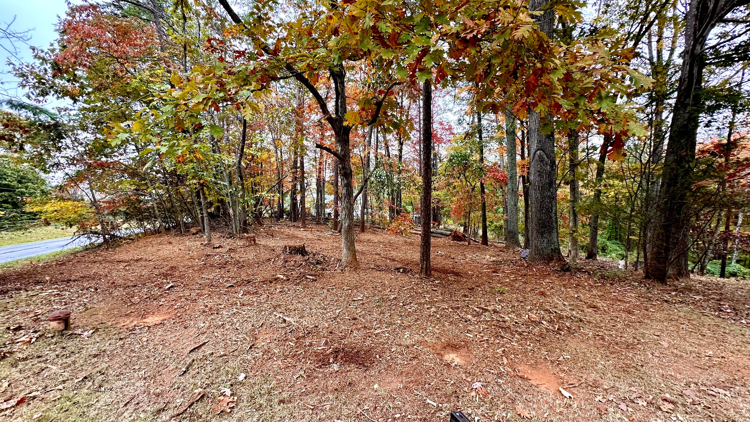 Ground Up Landworks's image